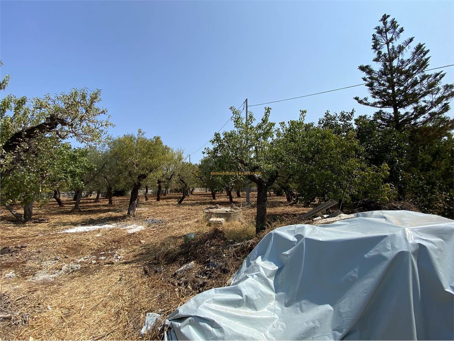 House in Monopoli (Campagna),  10037921