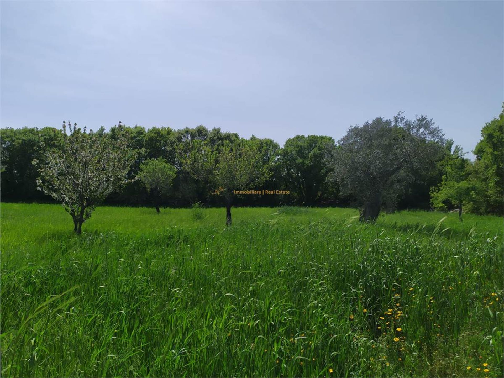 بيت في Castellana Grotte,  10037941