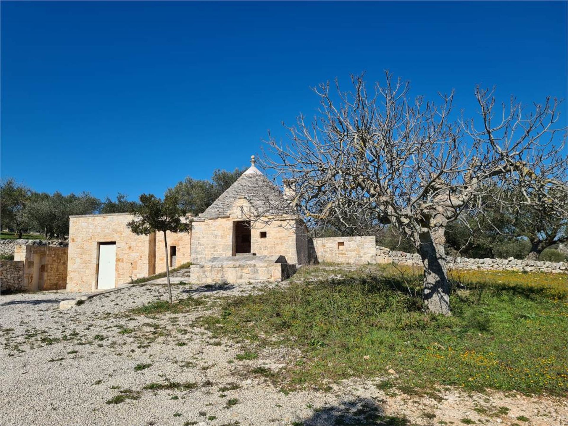 Dom w Alberobello,  10037988