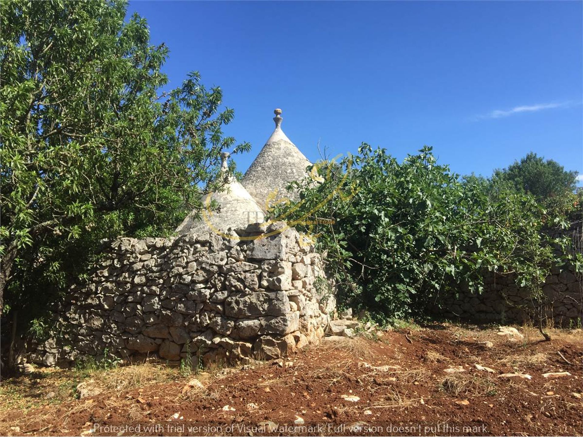 Hus i Ceglie Messapico, Puglia 10037989