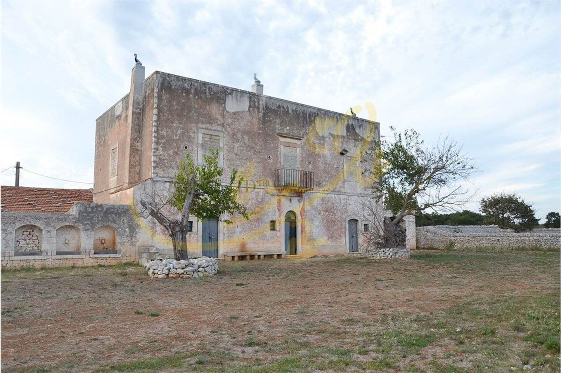 Hus i Conversano, Puglia 10038009