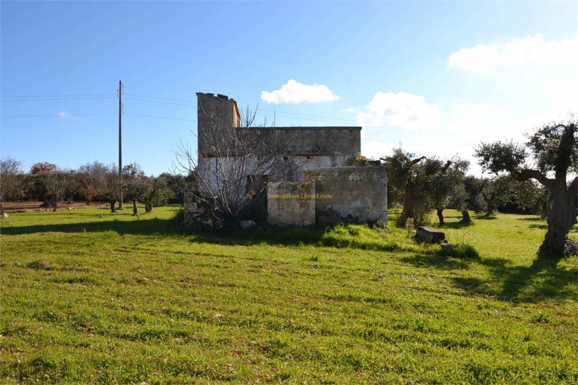 Haus im Castellana Grotte (Campagna),  10038030