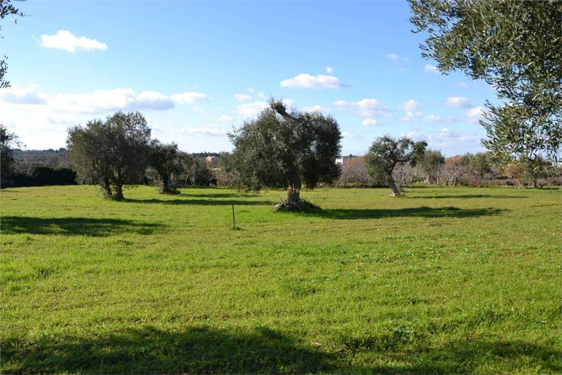 Casa nel Castellana Grotte (Campagna),  10038030