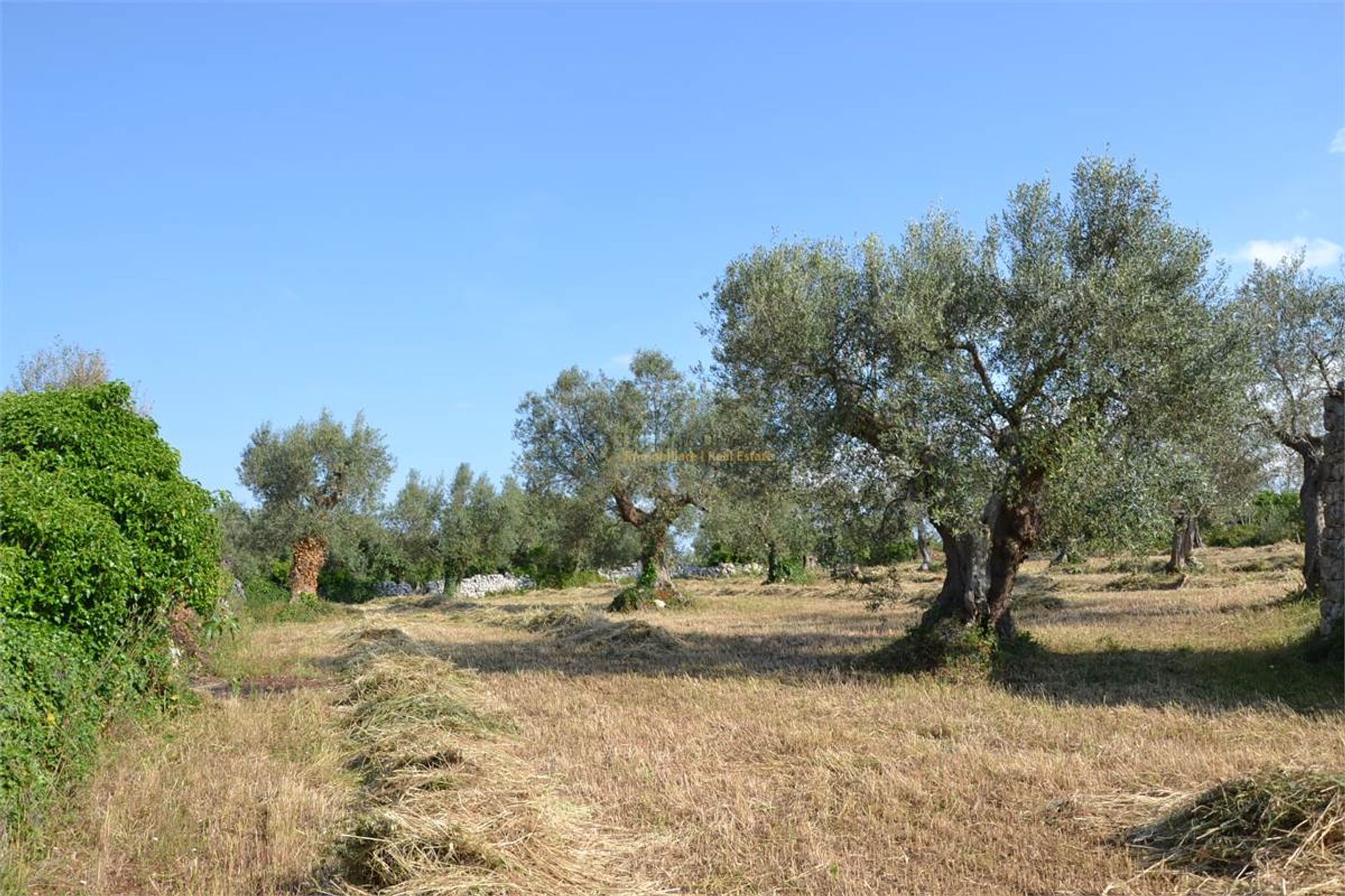 بيت في Castellana Grotte,  10038052