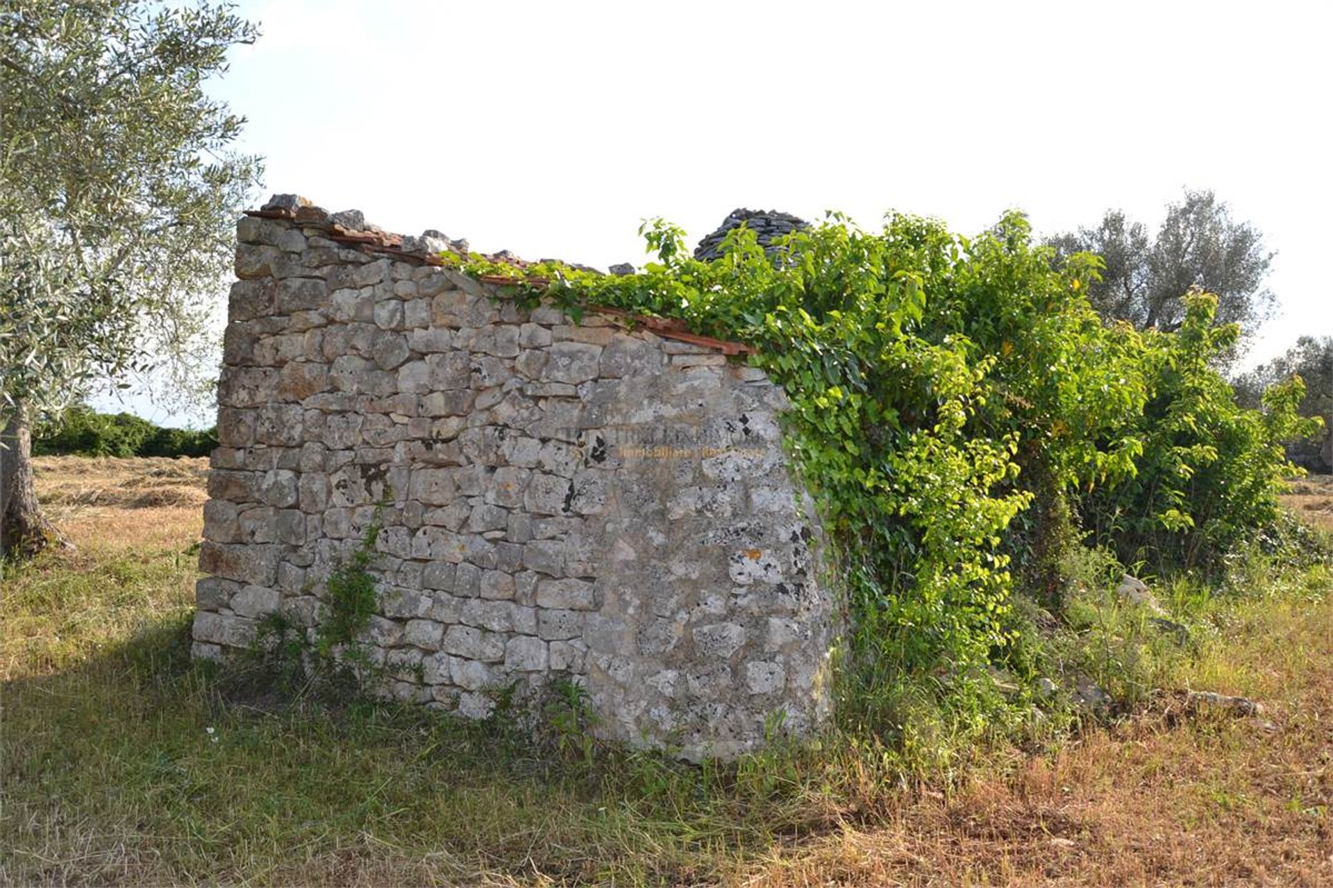 жилой дом в Castellana Grotte,  10038052