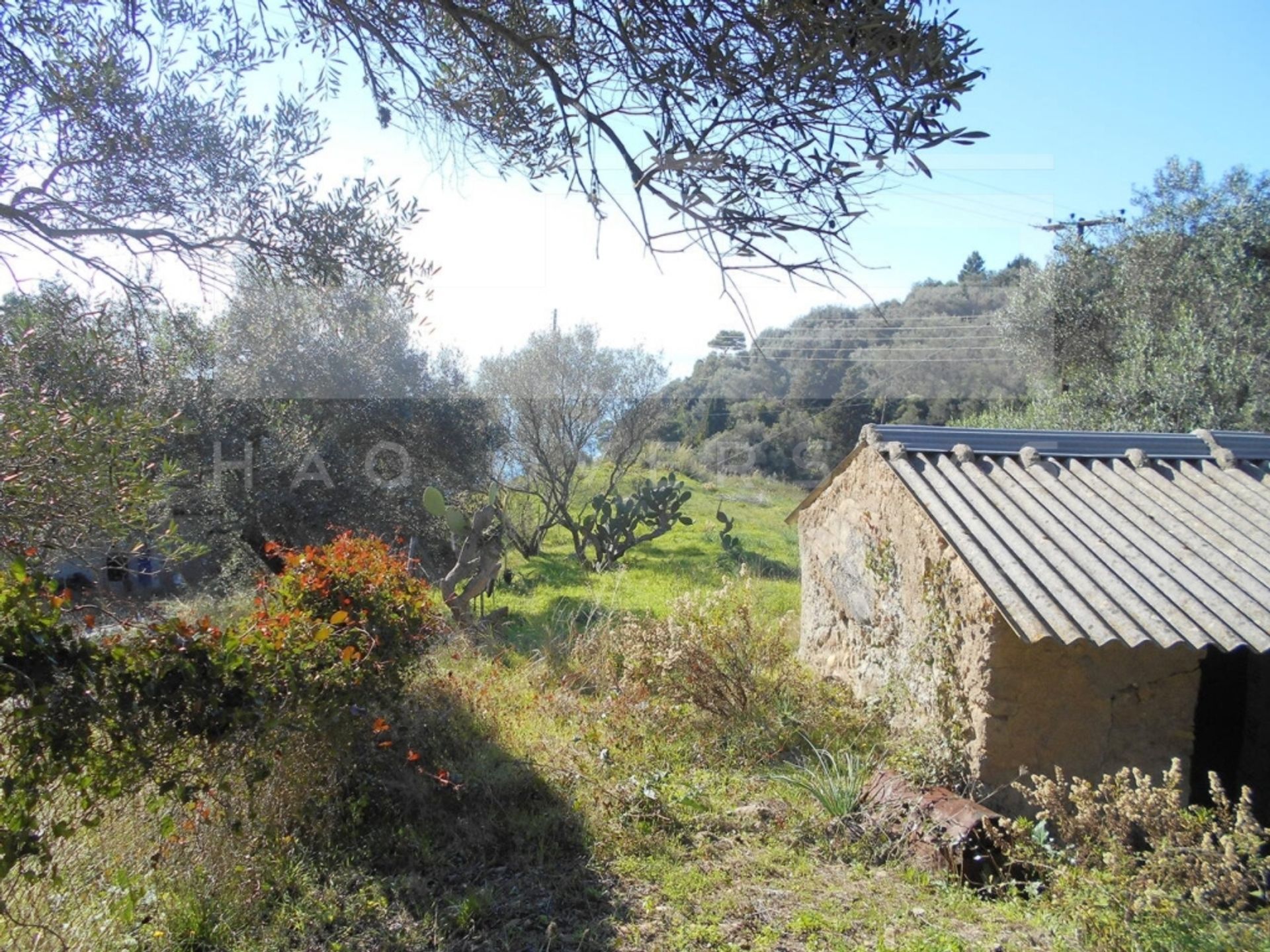 Condominium in Pelekas, Ionië Nisia 10041937