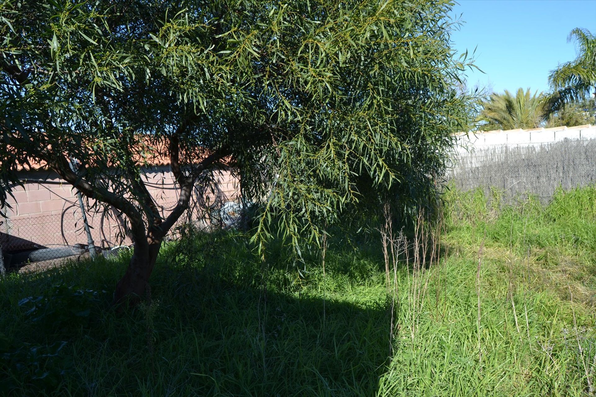 Casa nel Chiclana de La Frontera, Costa Luz 10042560