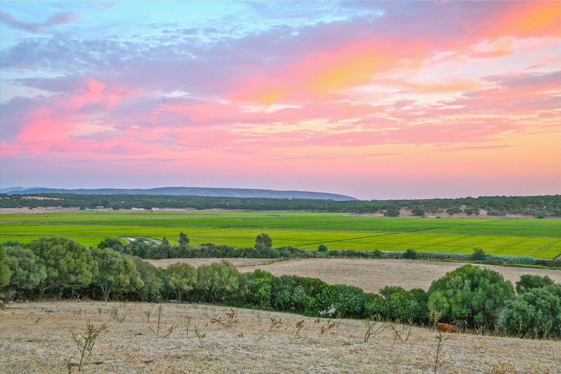 Terra no Vejer de la Frontera, Andaluzia 10042569