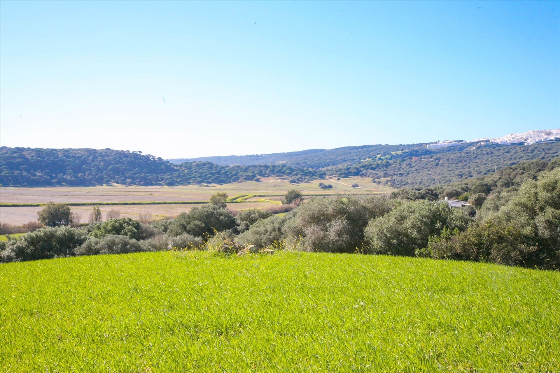 Terra no Vejer de la Frontera, Andaluzia 10042569