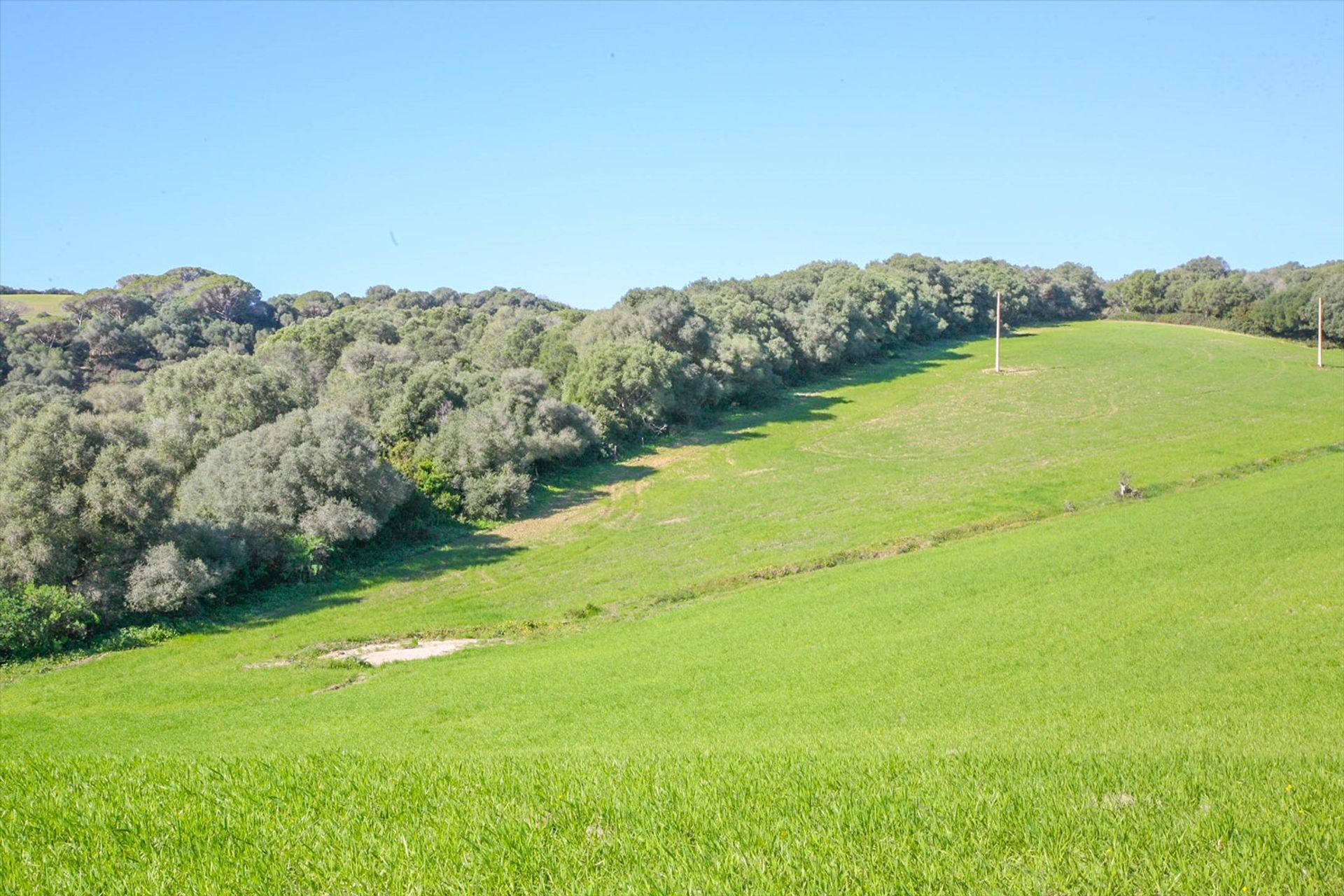 Terra no Vejer de la Frontera, Andaluzia 10042569