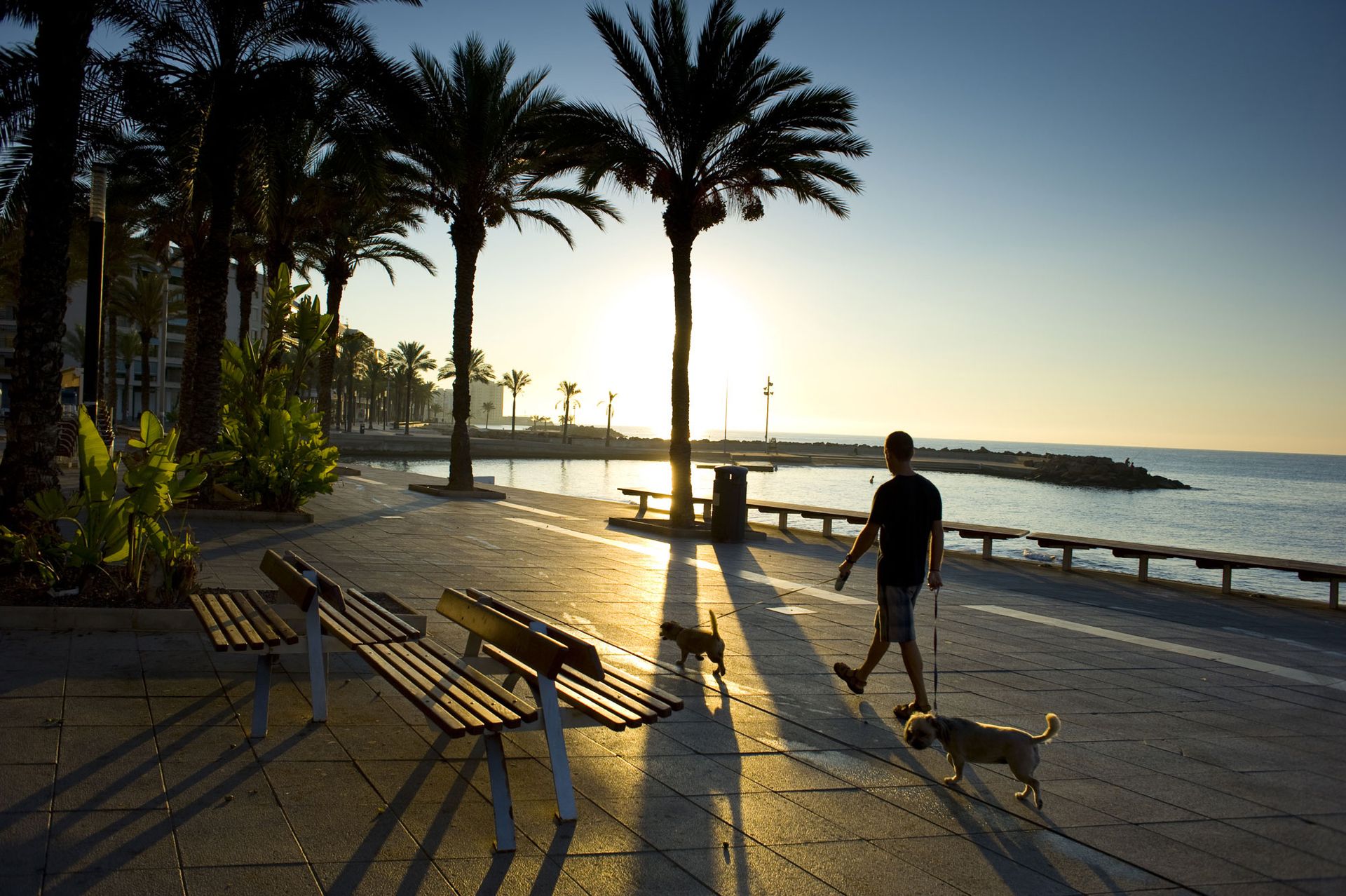 عمارات في Punta Prima, Costa Blanca South 10045145