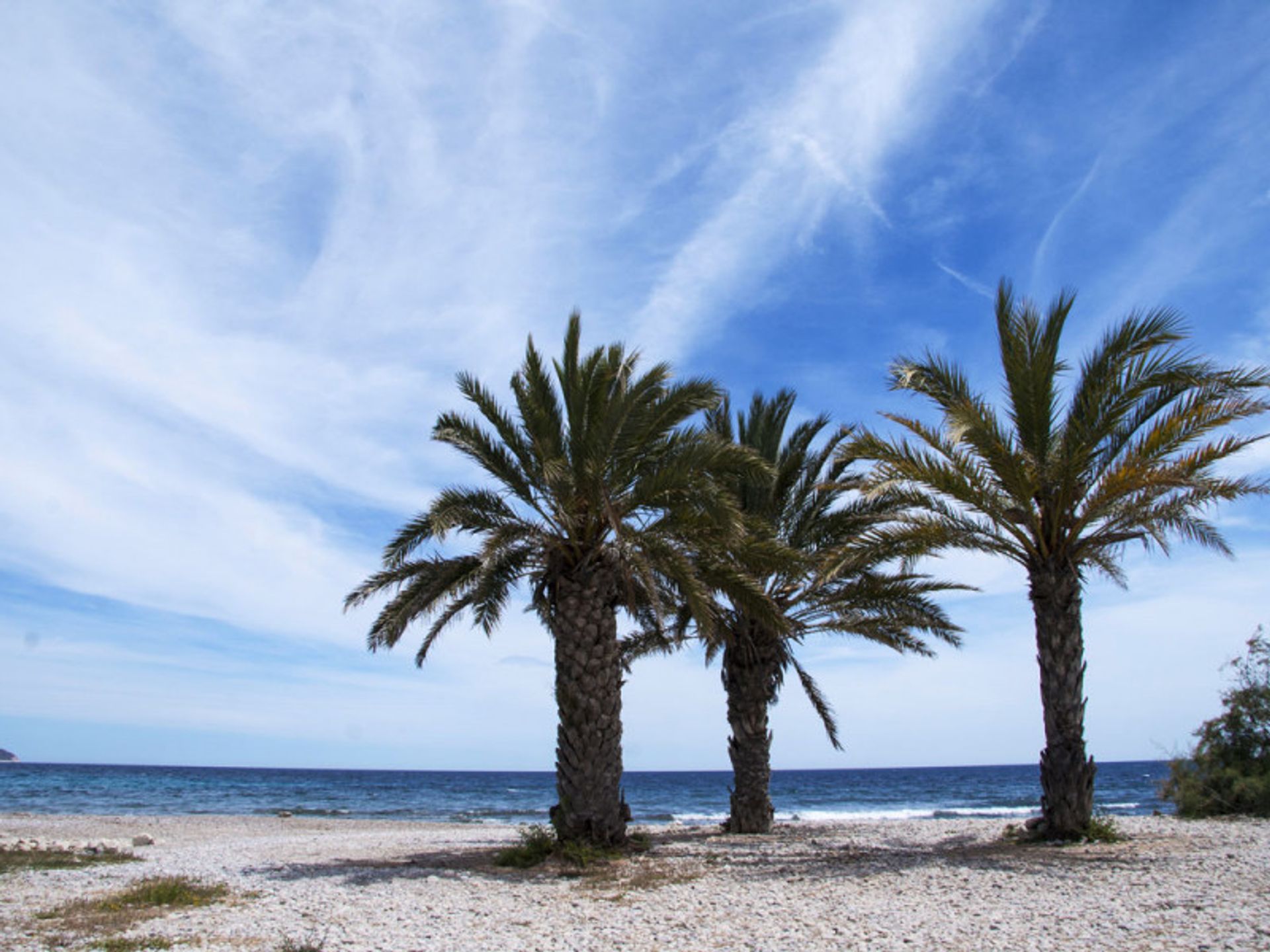 Condominium in Villajoyosa, Valencia 10047182