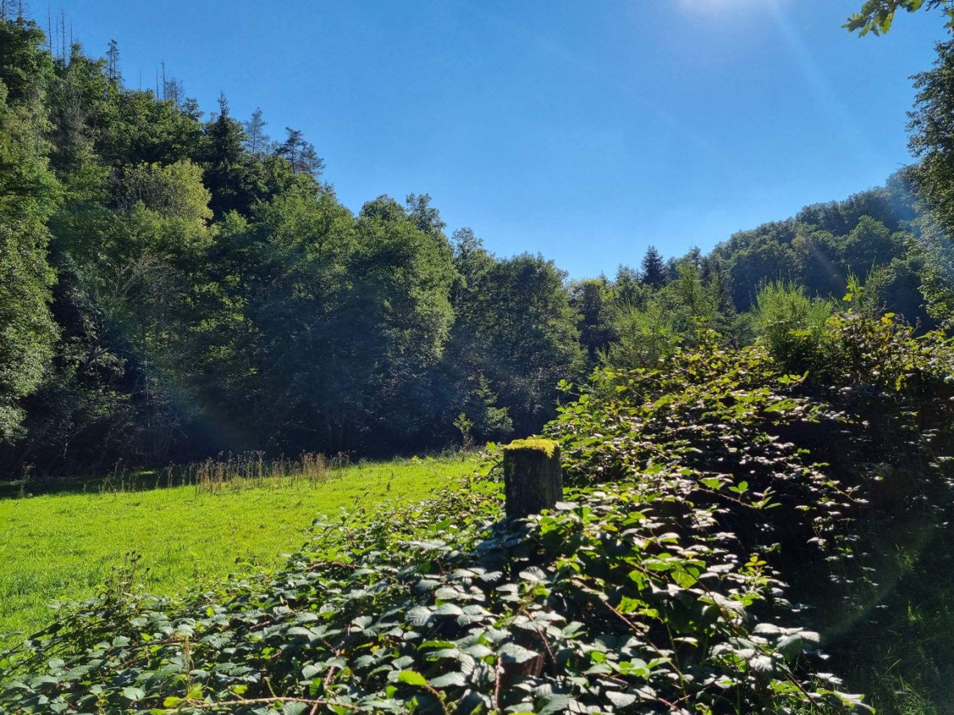 Інший в Saint Priest Des Champs, Auvergne 10047257