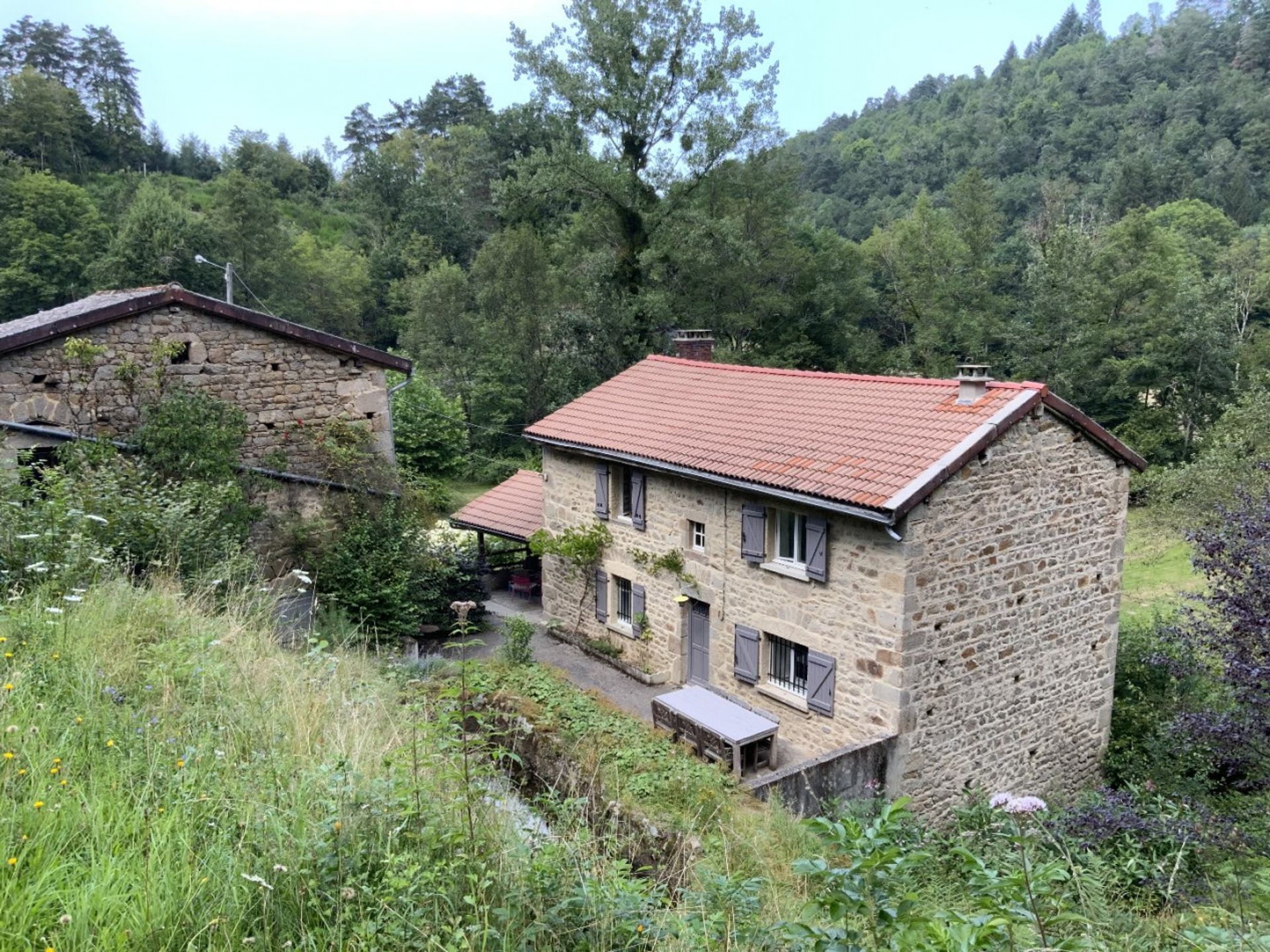 Otro en dominar, Auvernia-Ródano-Alpes 10047282