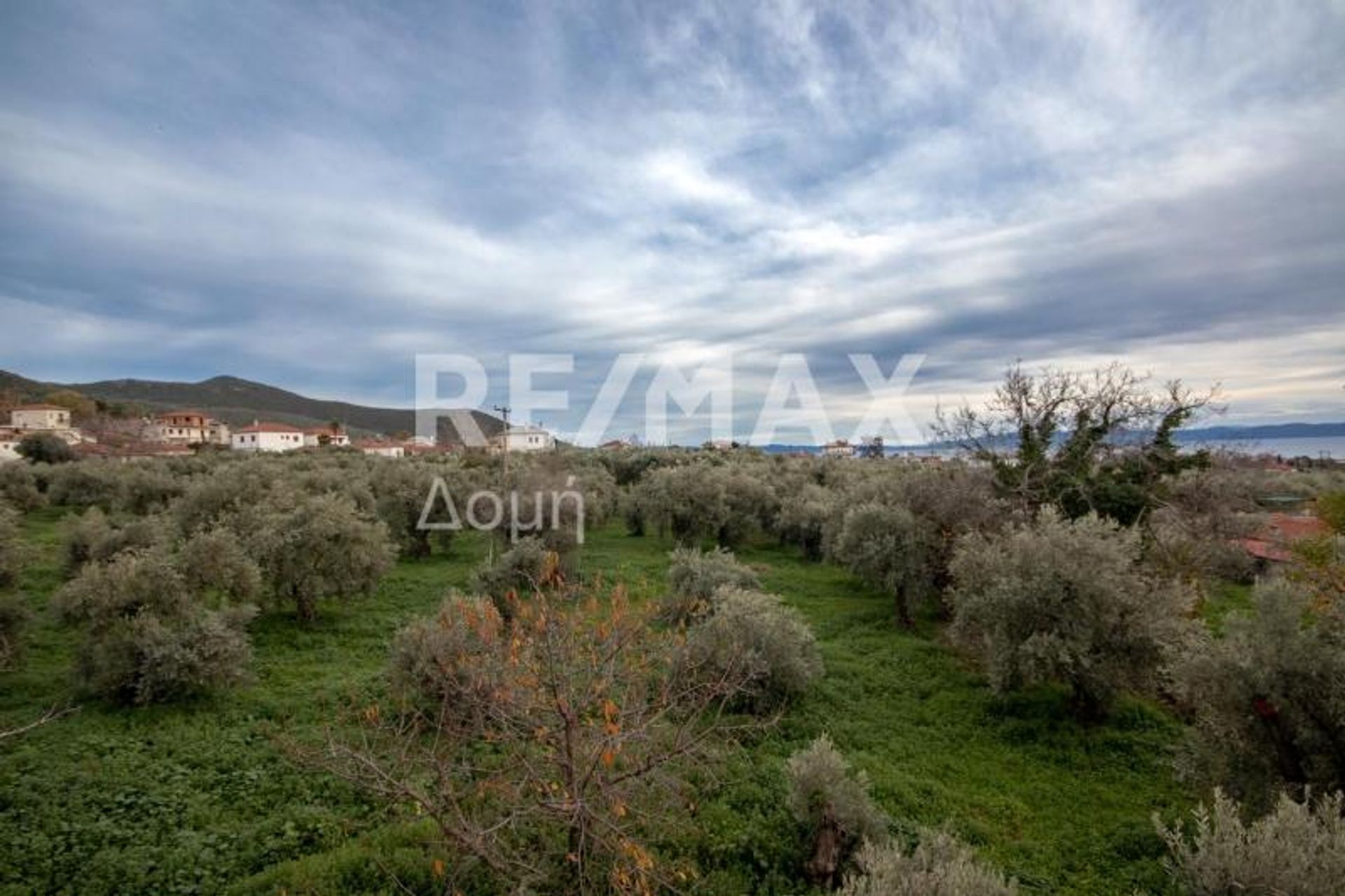 casa en Año Lechonia, Tesalia 10047916