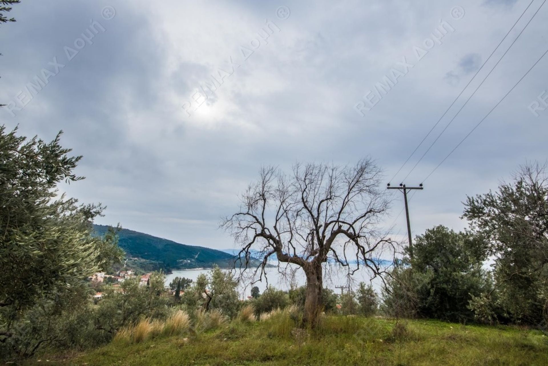 Tierra en Argalasti, Tesalia 10047982