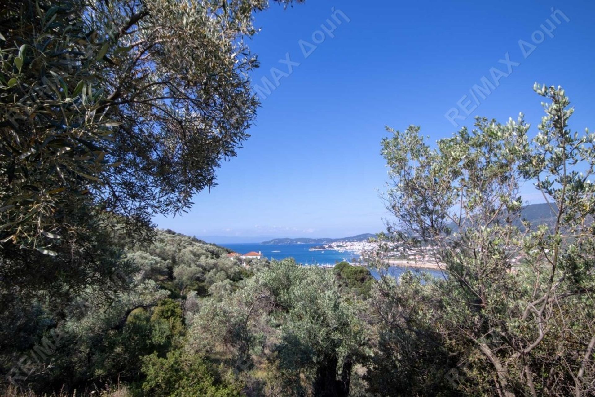 Tanah di Skiathos, Tesalia 10047999