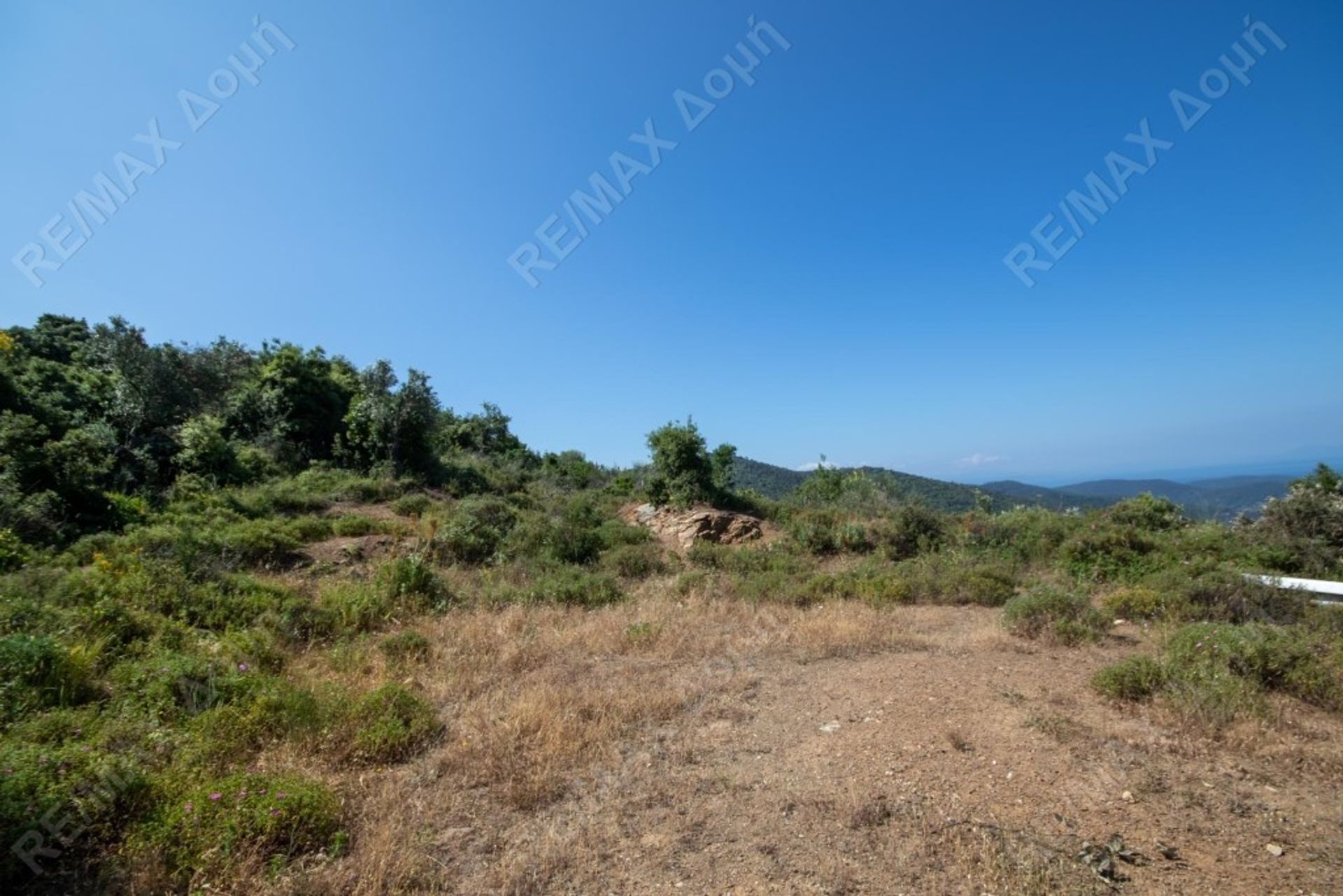 Terra no Skiathos, Thessalia 10048010