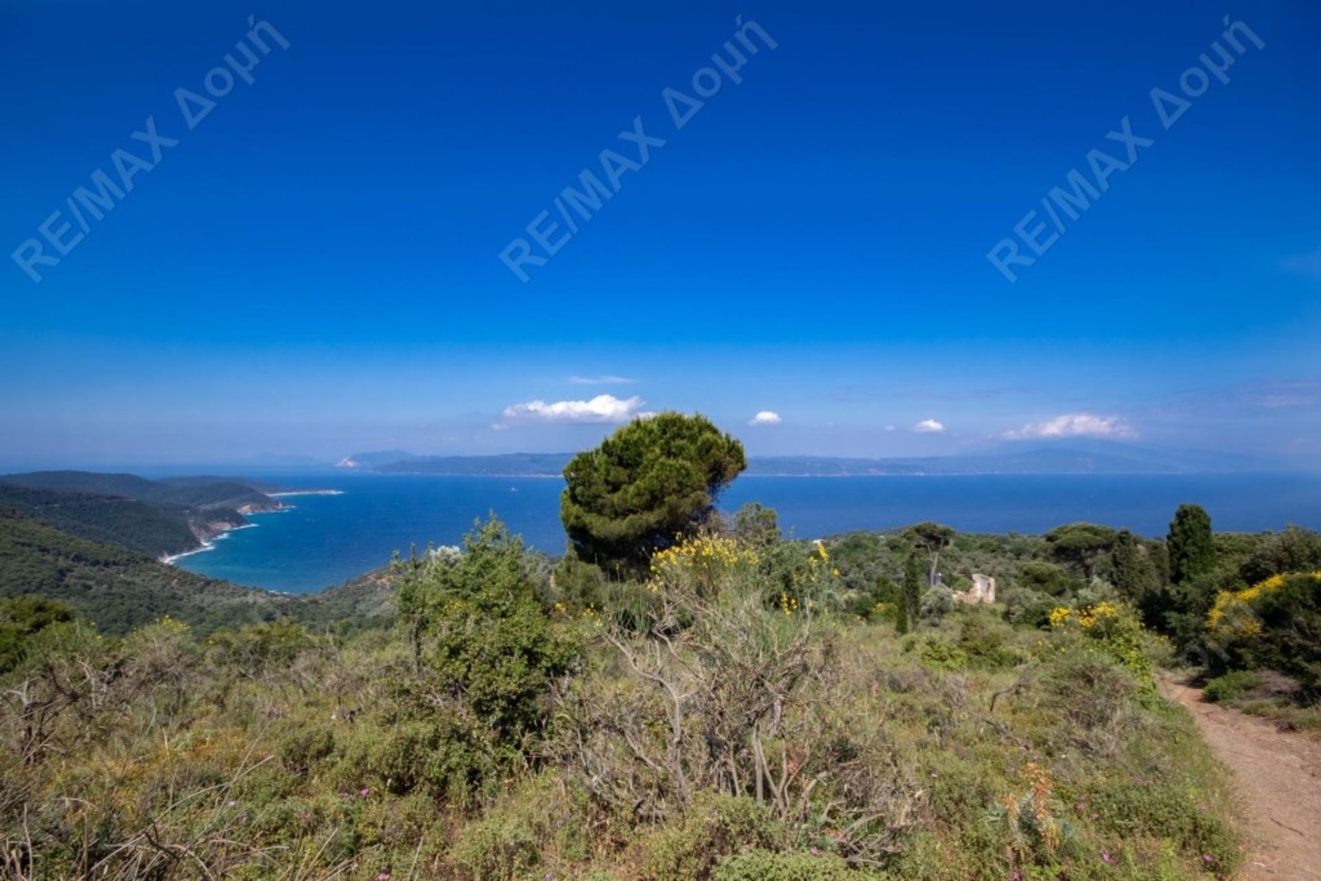 Terra no Skiathos, Thessalia 10048010