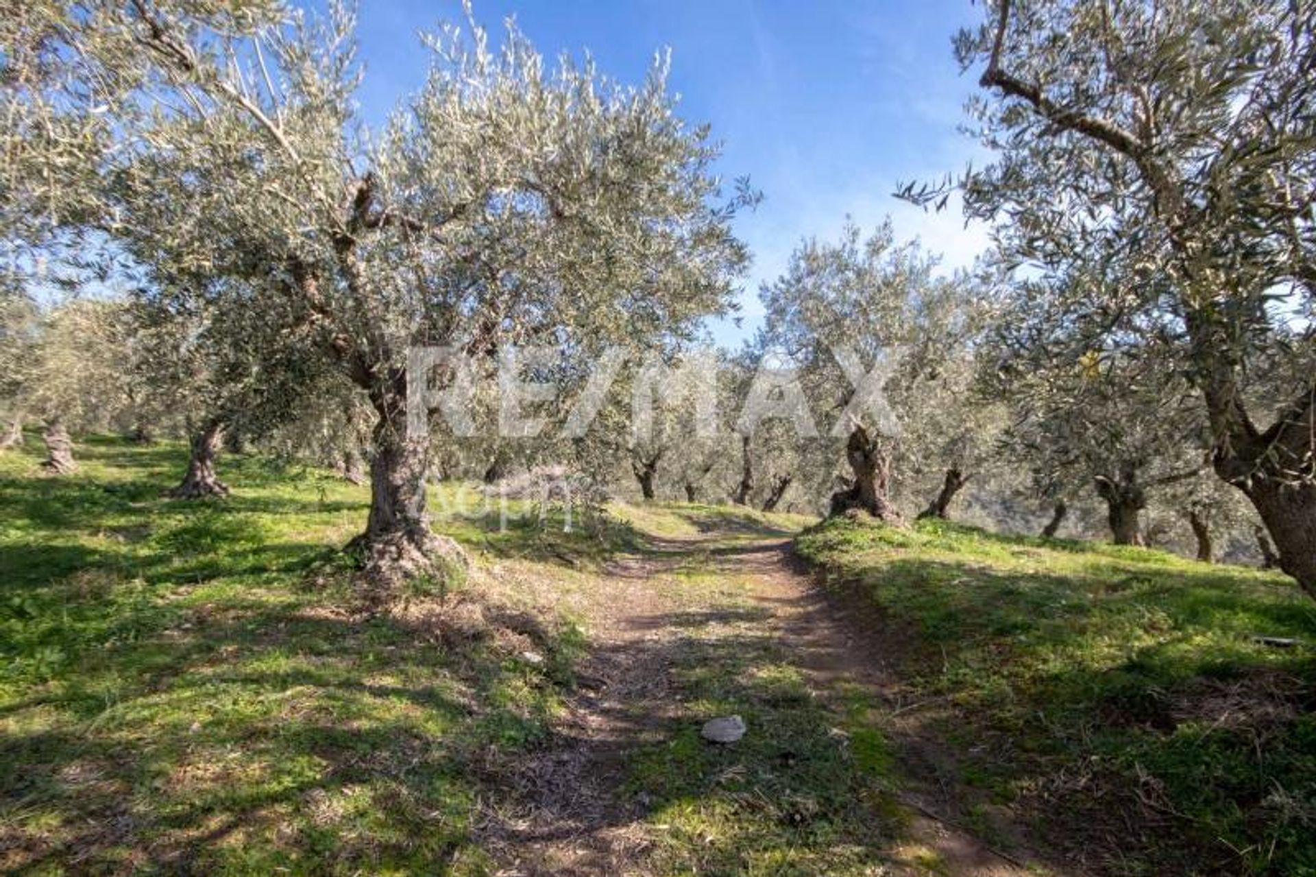 Συγκυριαρχία σε Καλά Νερά, Θεσσαλία 10048178