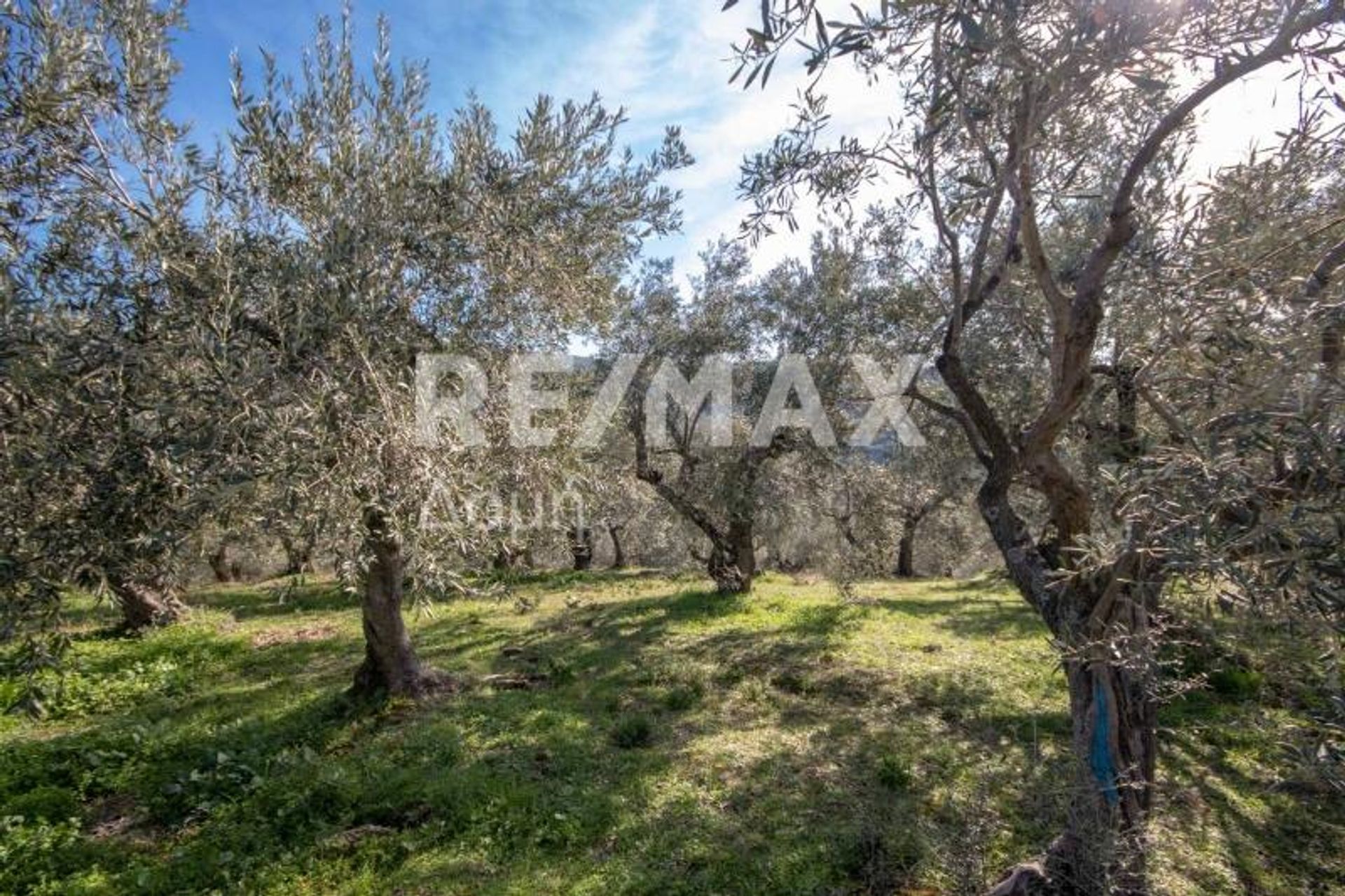 Συγκυριαρχία σε Καλά Νερά, Θεσσαλία 10048178