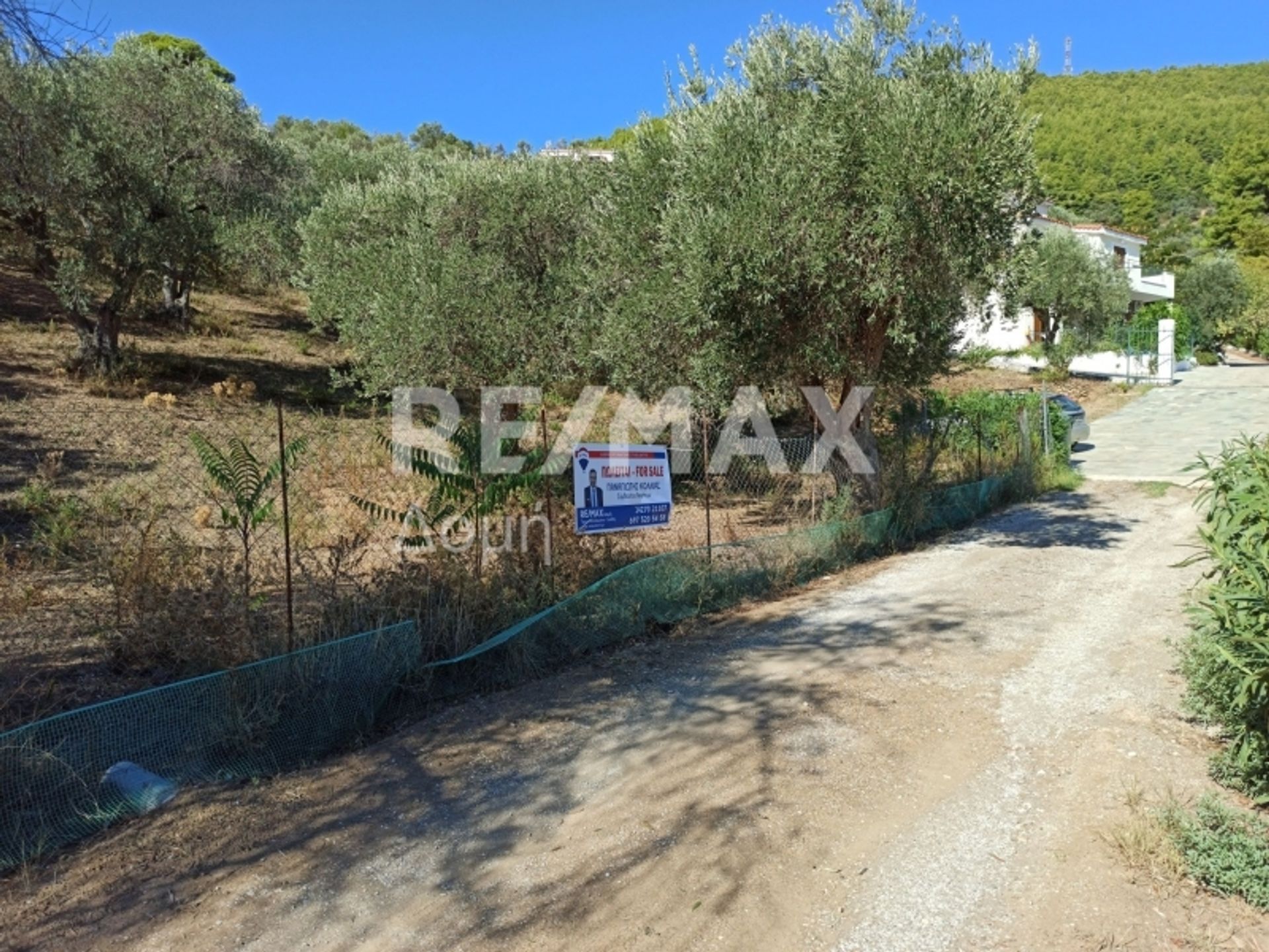 Condominio nel Skiathos, Tessaglia 10048255