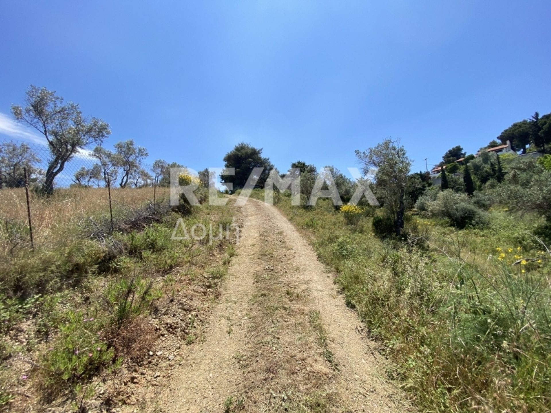 Συγκυριαρχία σε Σκιάθος, Θεσσαλία 10048361