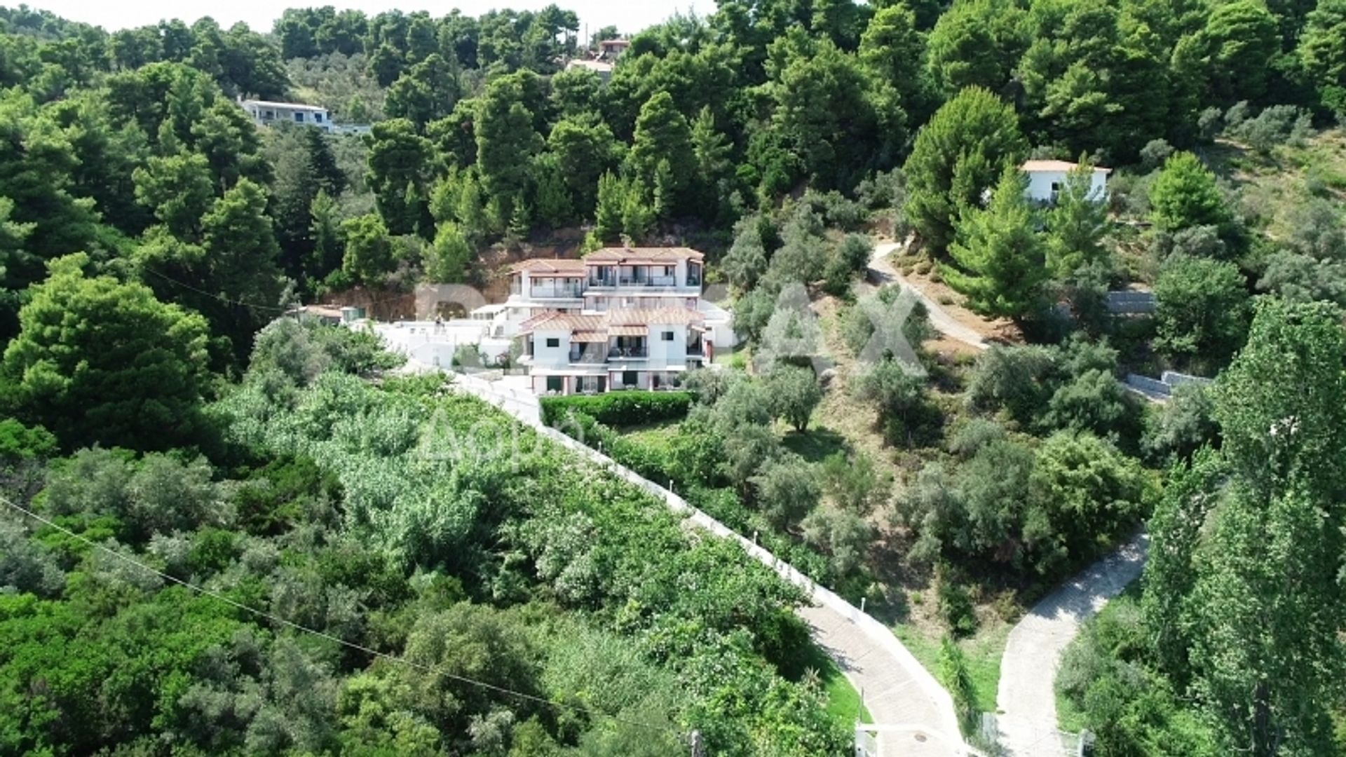 Pengecer di Skiathos, Thessalia 10048428