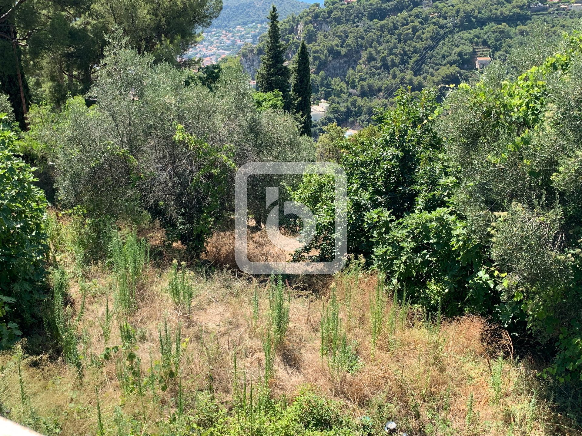 بيت في Villefranche Sur Mer, Provence-Alpes-Cote D'azur 10048803