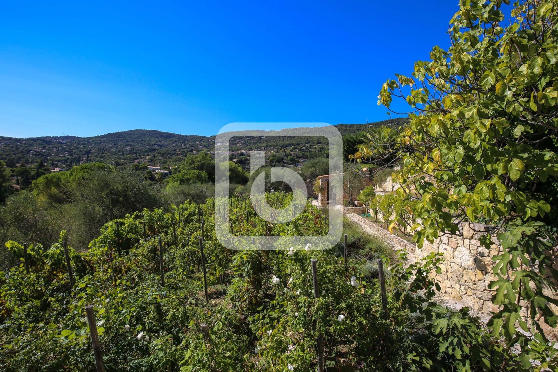 Haus im Peymeinade, Provence-Alpes-Cote D'azur 10049172