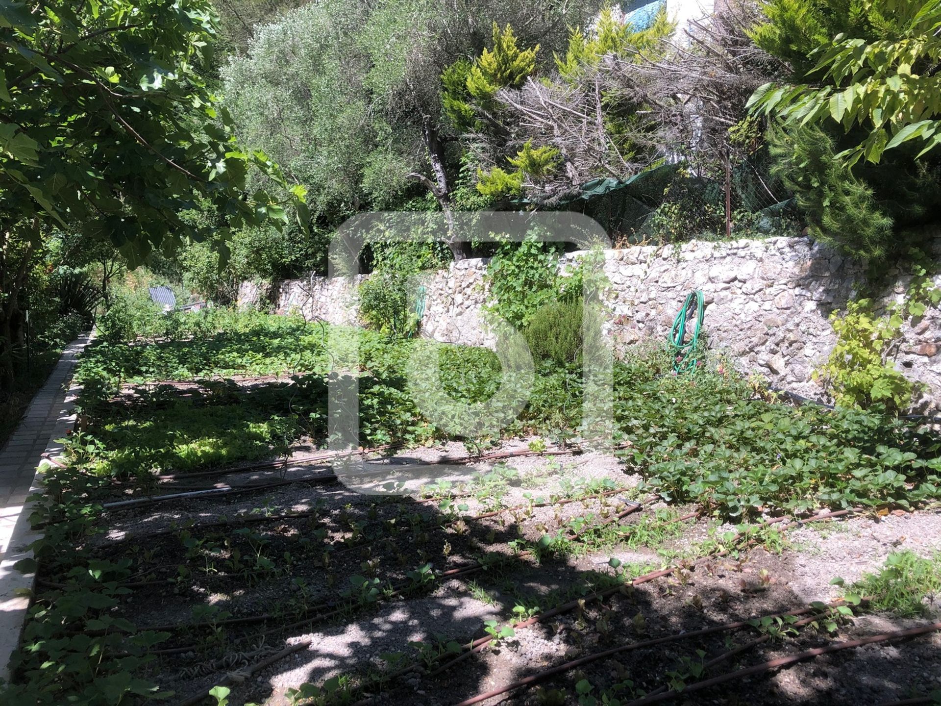 rumah dalam Eze, Provence-Alpes-Cote D'azur 10049311