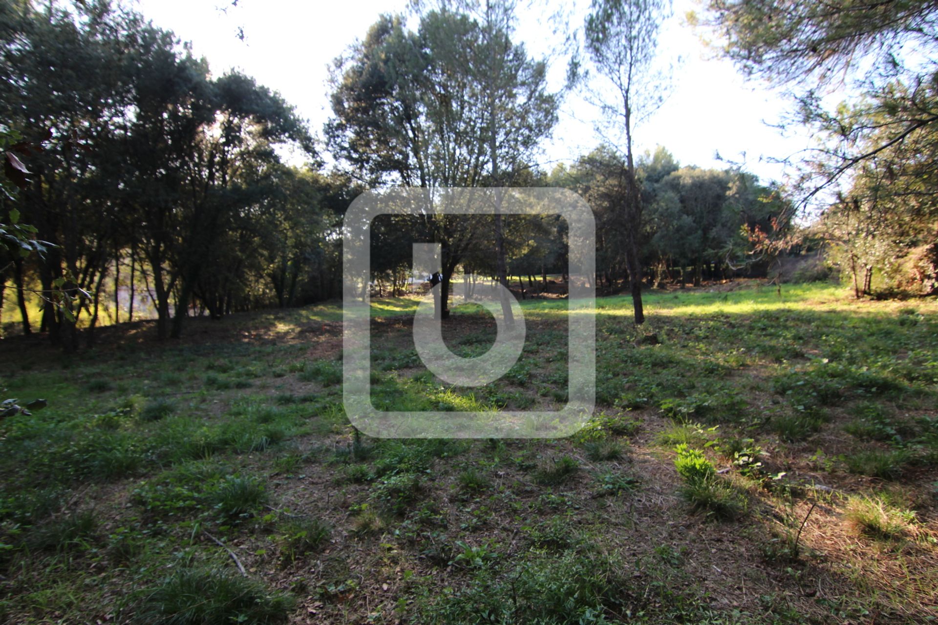 Land in Biot, Provence-Alpes-Cote d'Azur 10049528