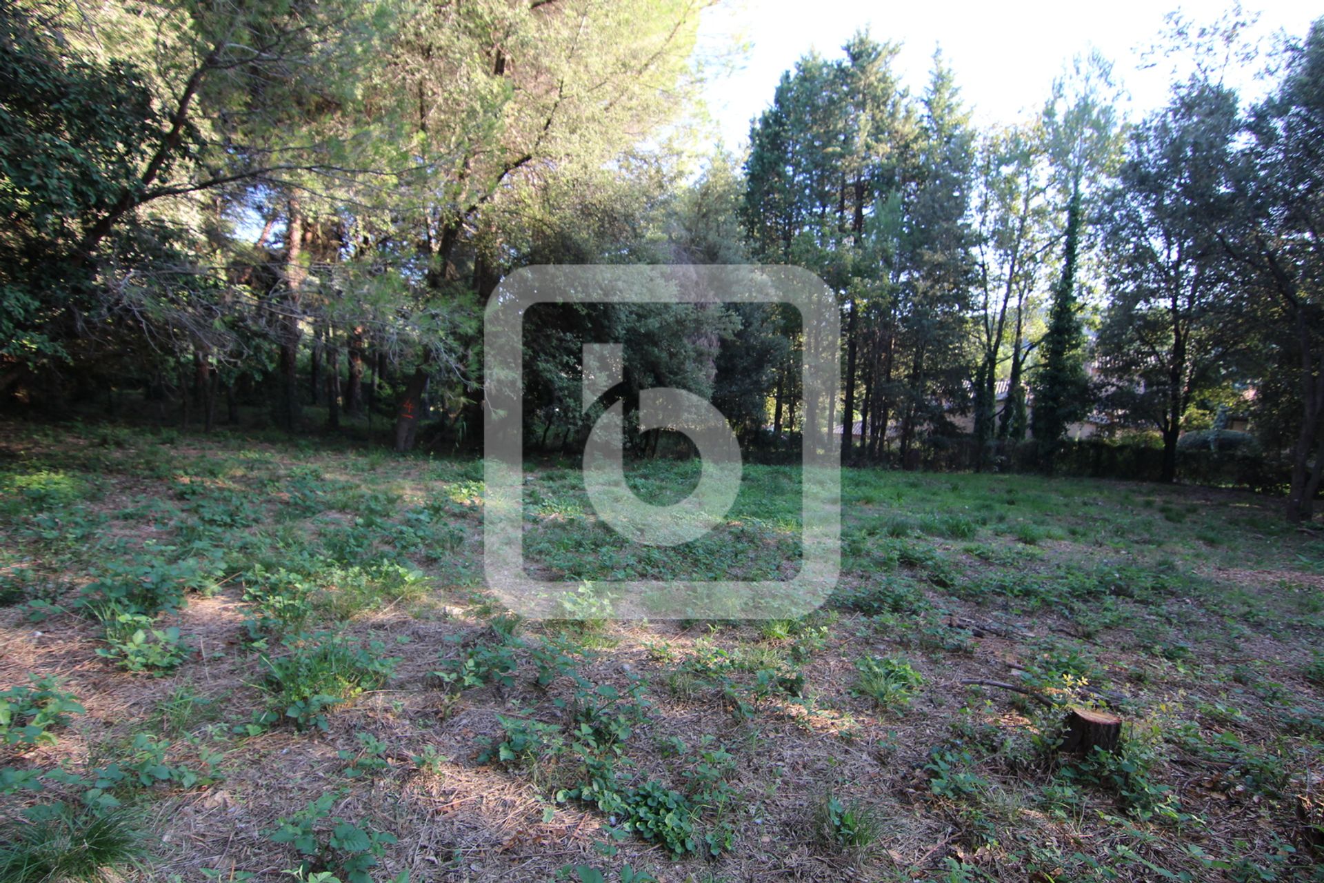 Land in Biot, Provence-Alpes-Cote d'Azur 10049531