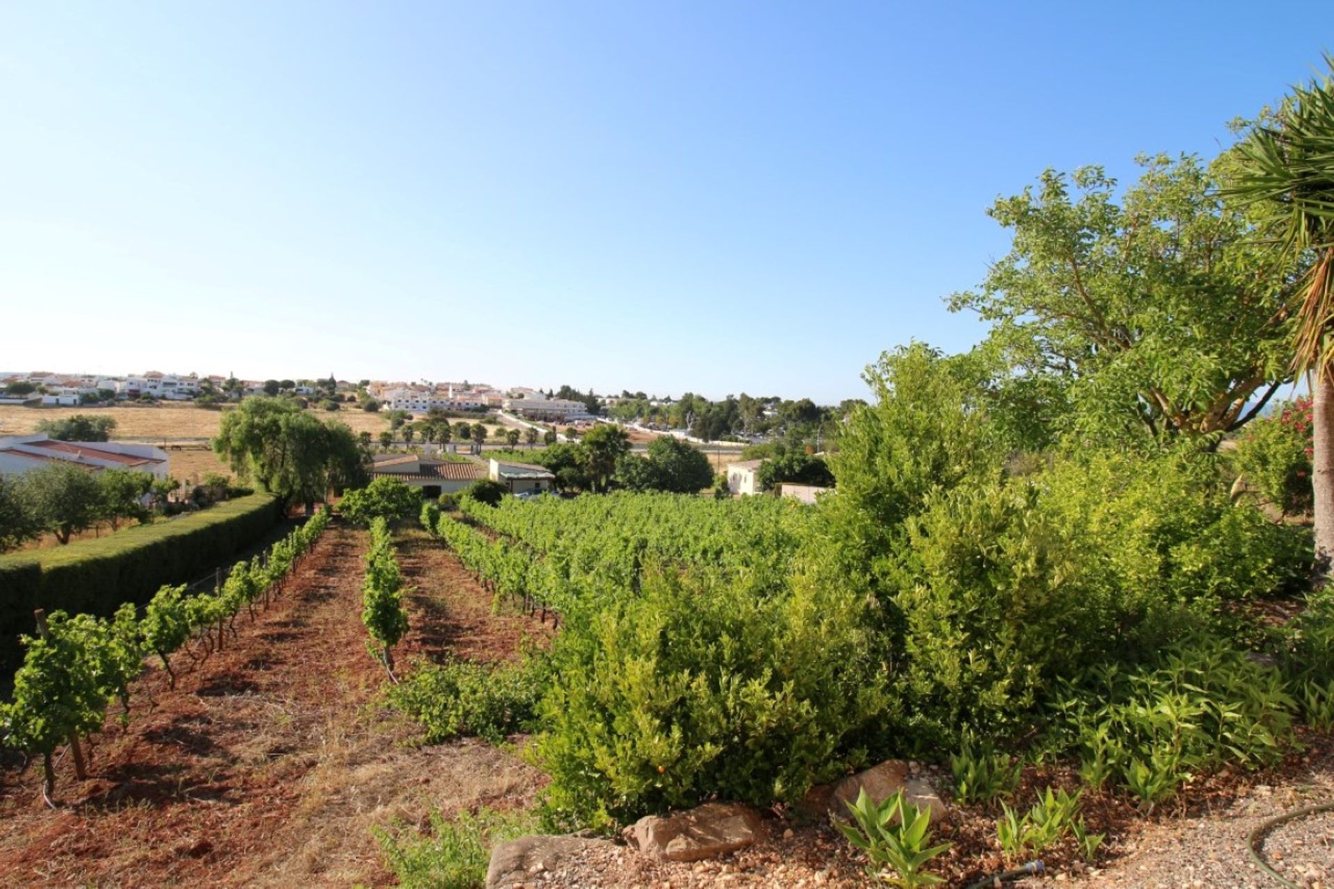 House in Espiche, Algarve 10049568