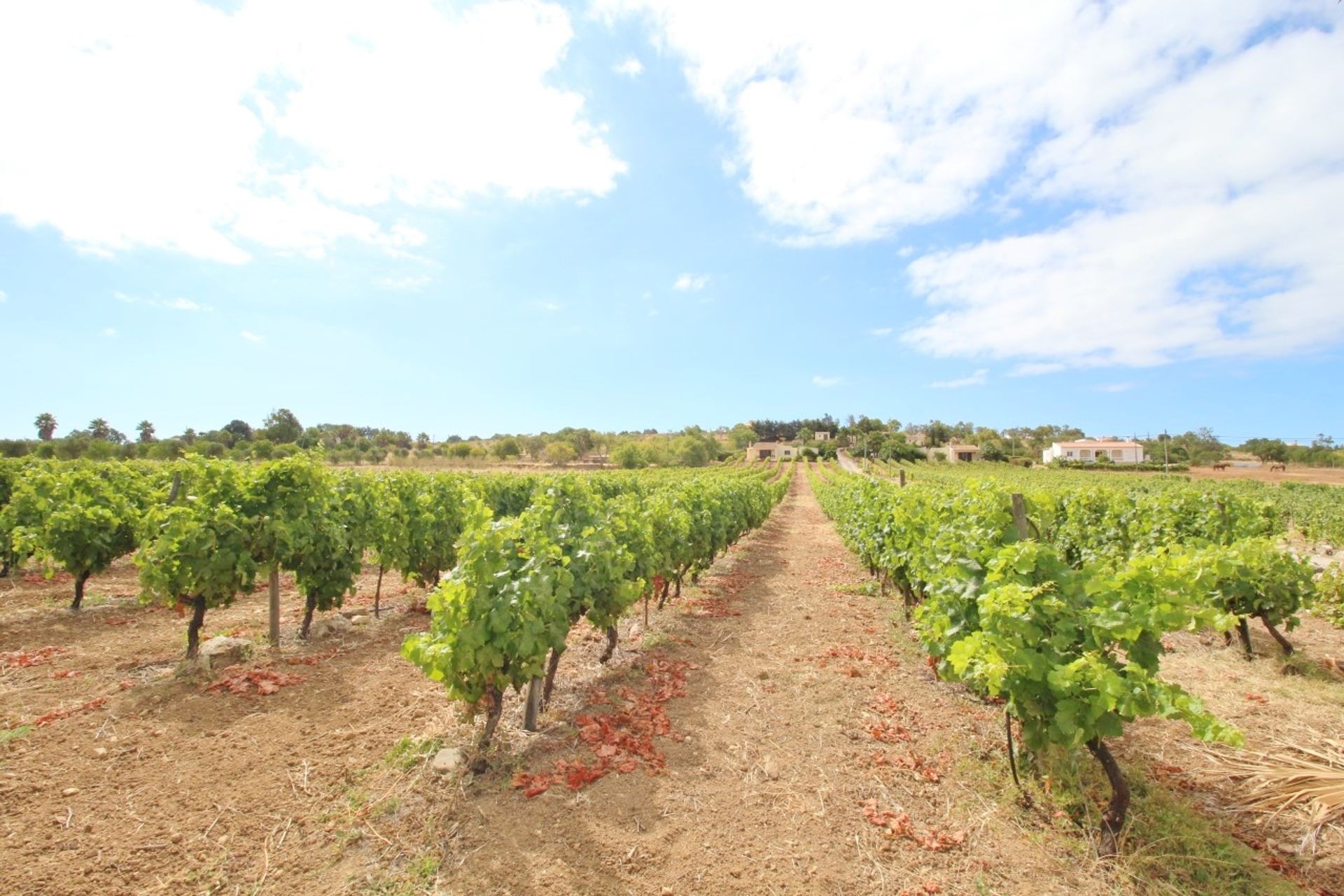 House in Espiche, Algarve 10049568