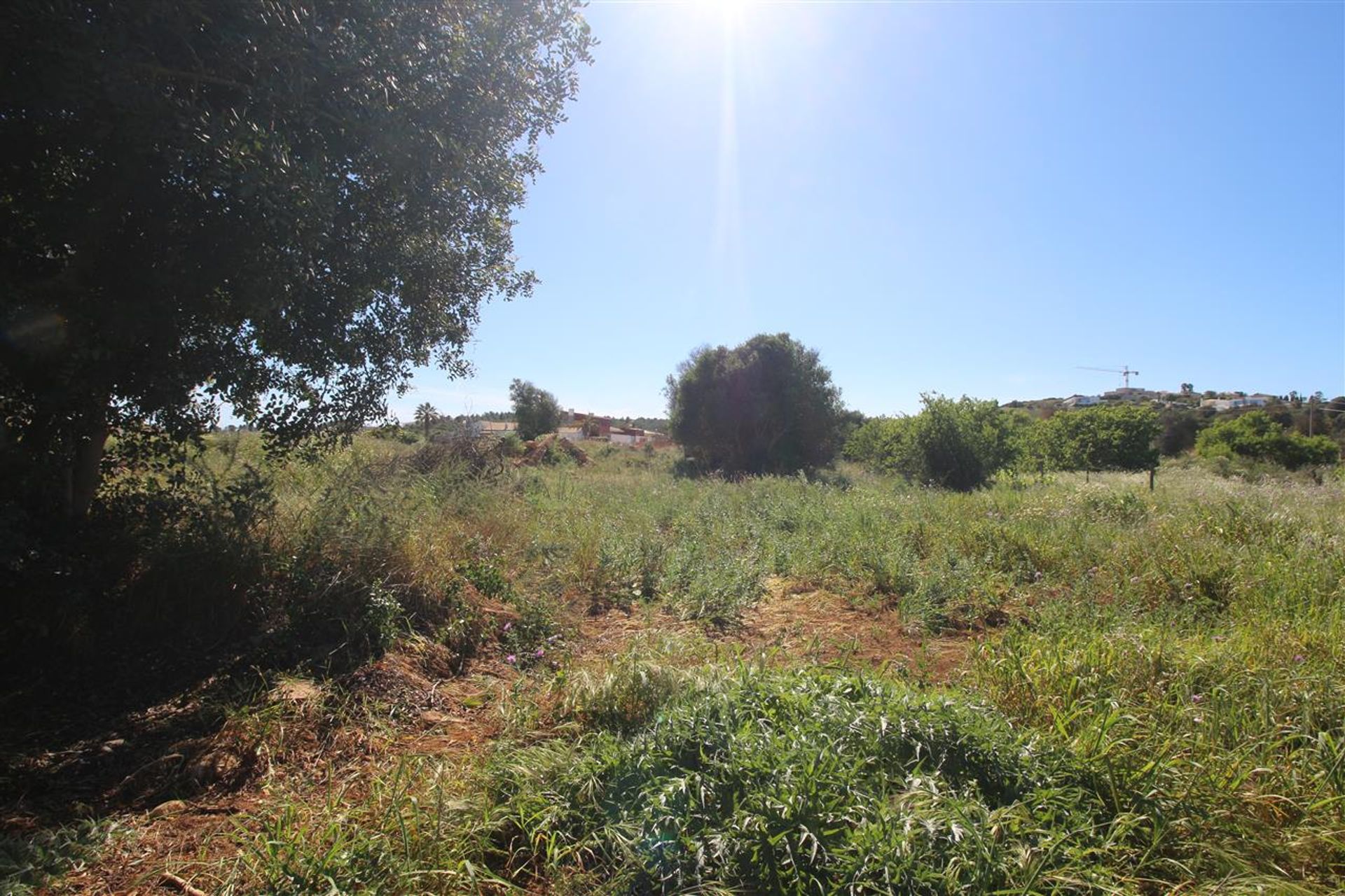 casa en torre, Faraón 10049593