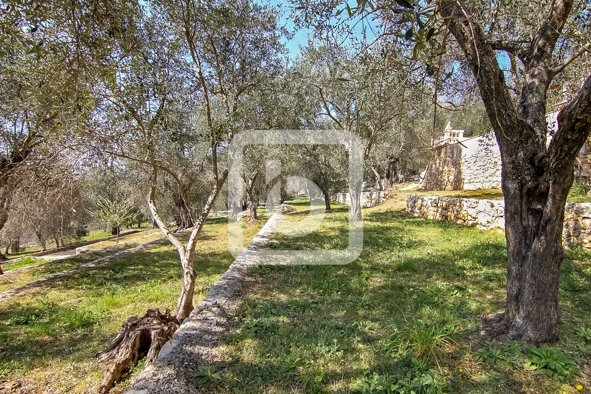 Talo sisään Saint-Cezaire-sur-Siagne, Provence-Alpes-Cote d'Azur 10050113