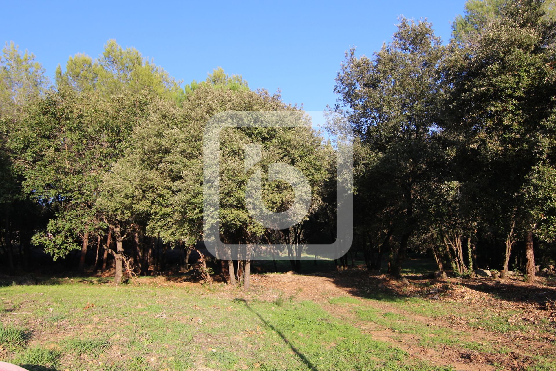 Land in Biot, Provence-Alpes-Côte d'Azur 10050718