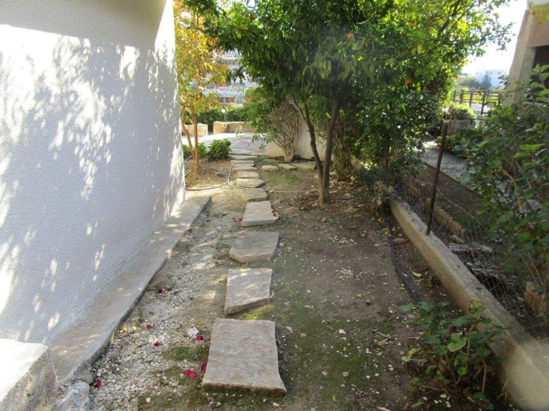 Hus i Kamares, Paphos 10050781