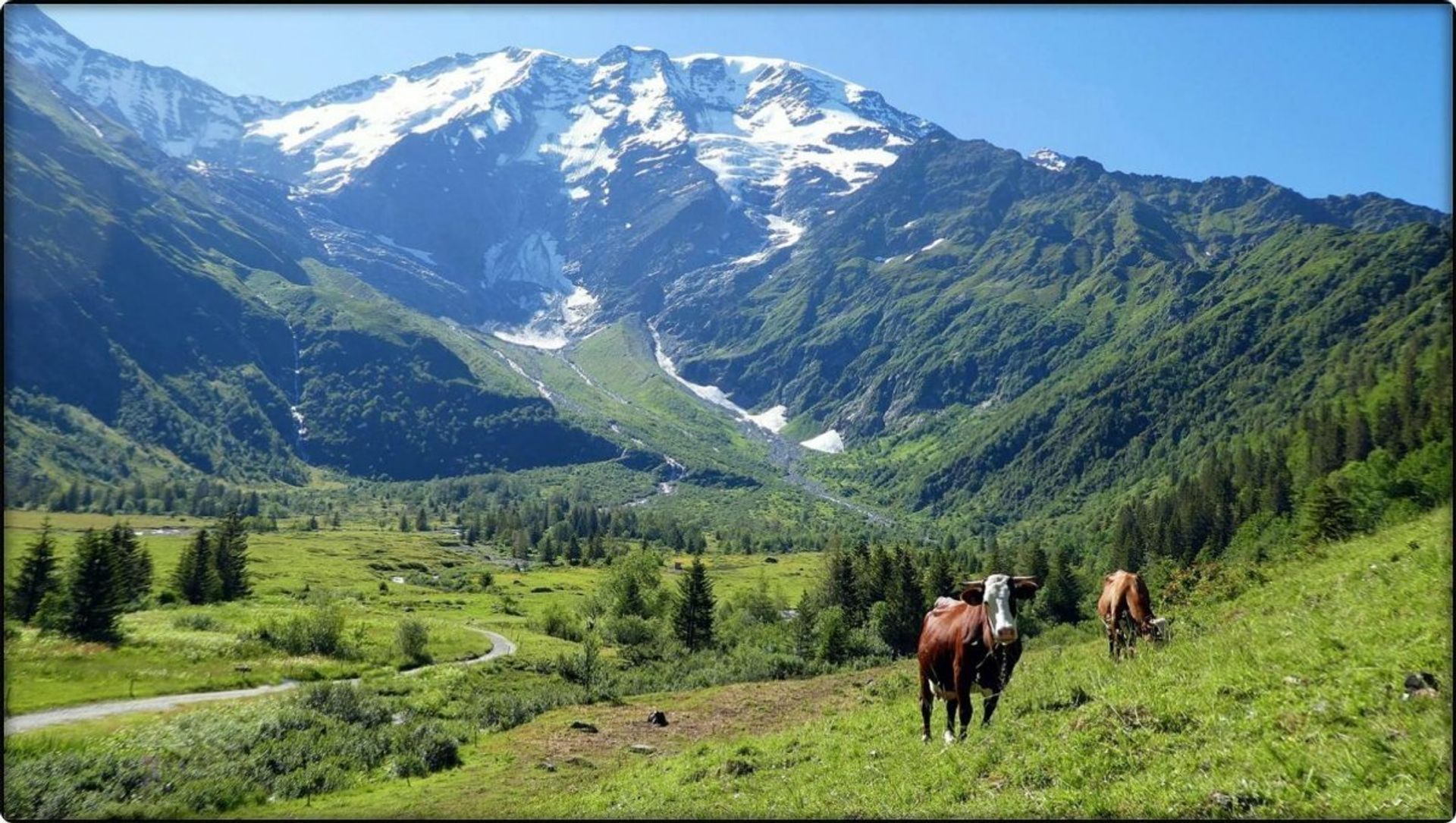 Talo sisään Saint-Gervais-Les-Bains, Rhone-Alpes 10051733