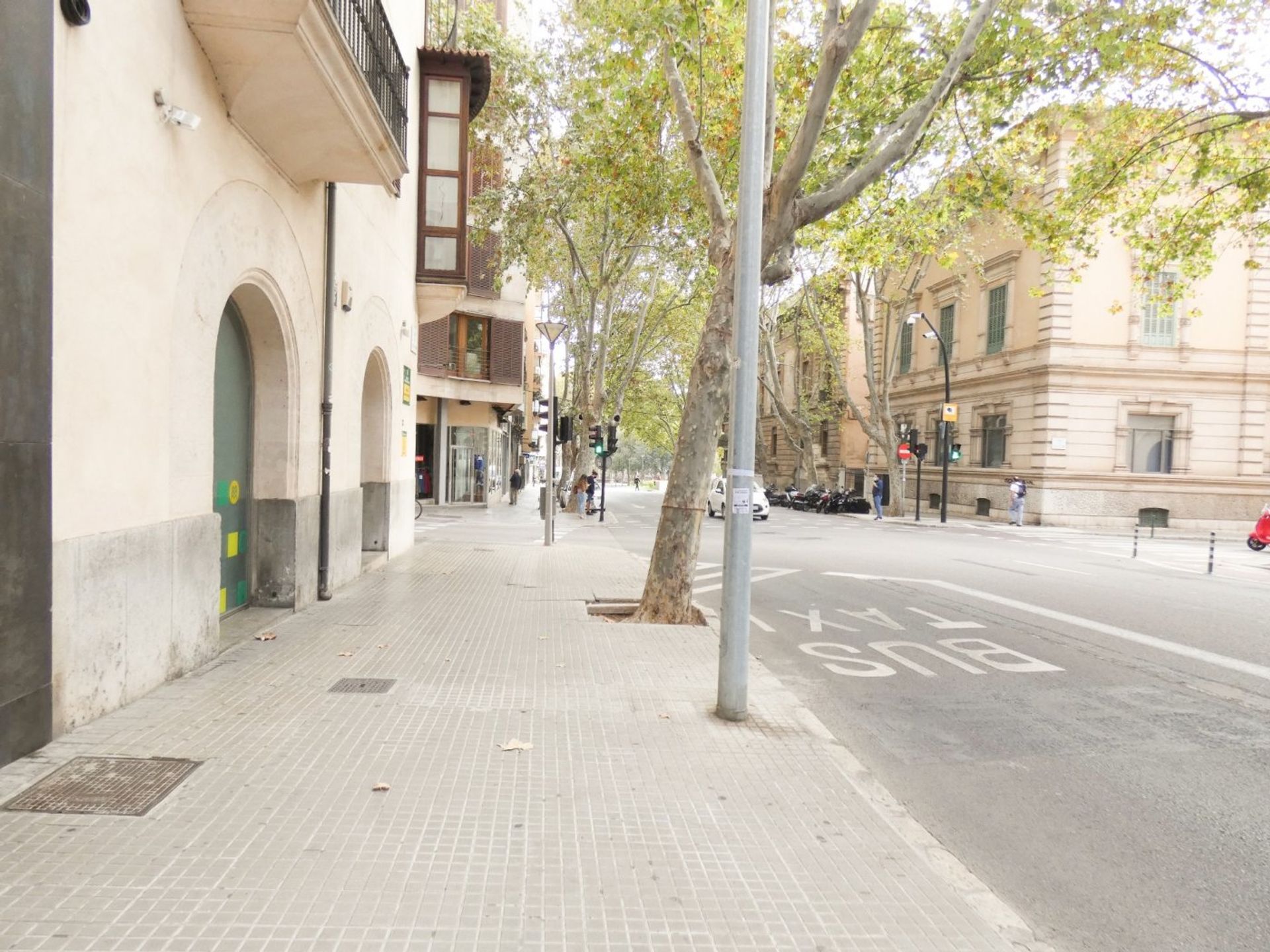 Inny w Placa Dels Patins, Mallorca 10052000