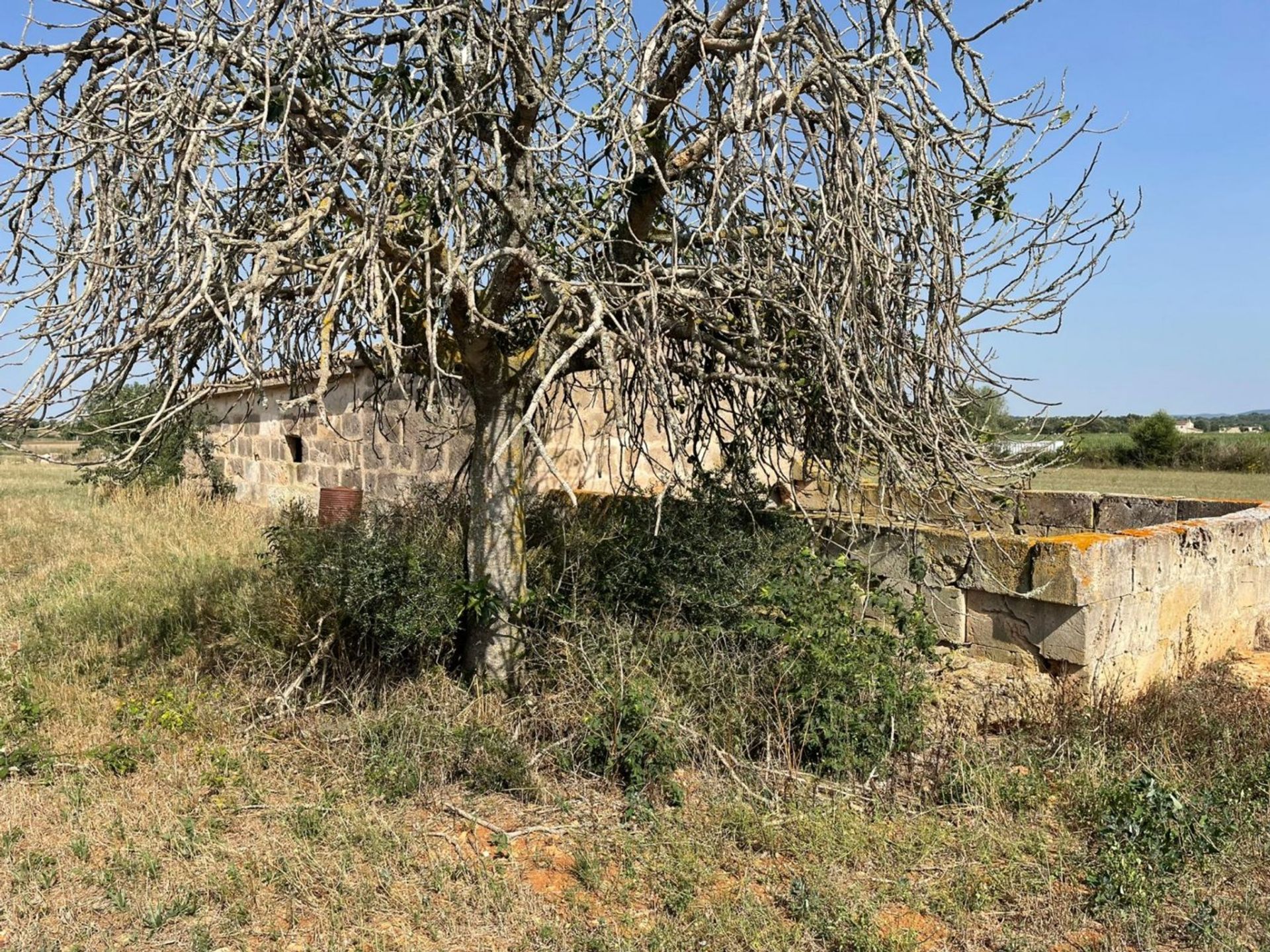 公寓 在 Santa Eugenia, Mallorca 10052024