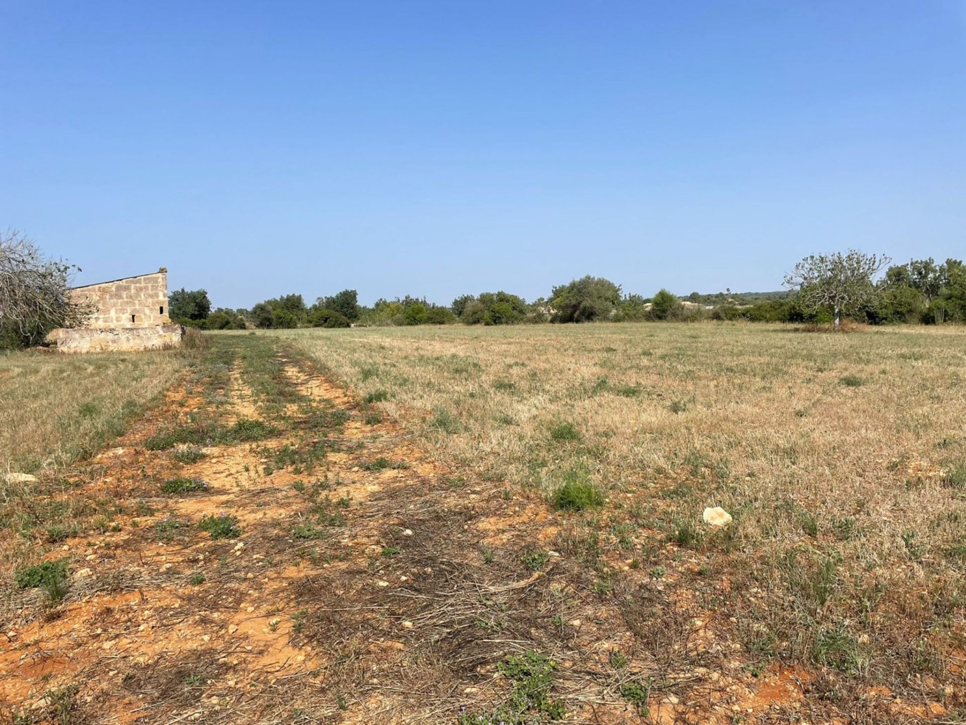 Condominio en Santa Eugenia, Mallorca 10052024