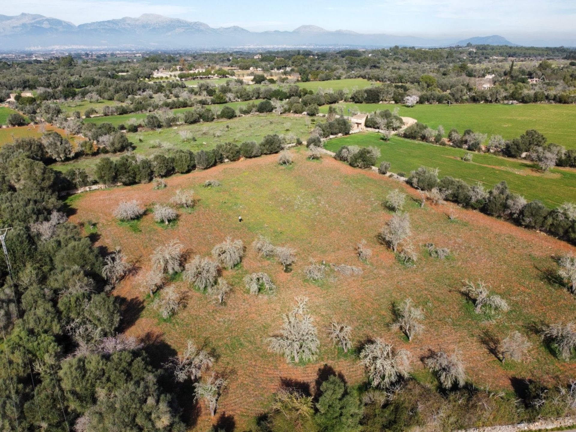 Tanah di Sancella, Pulau Balearic 10052029