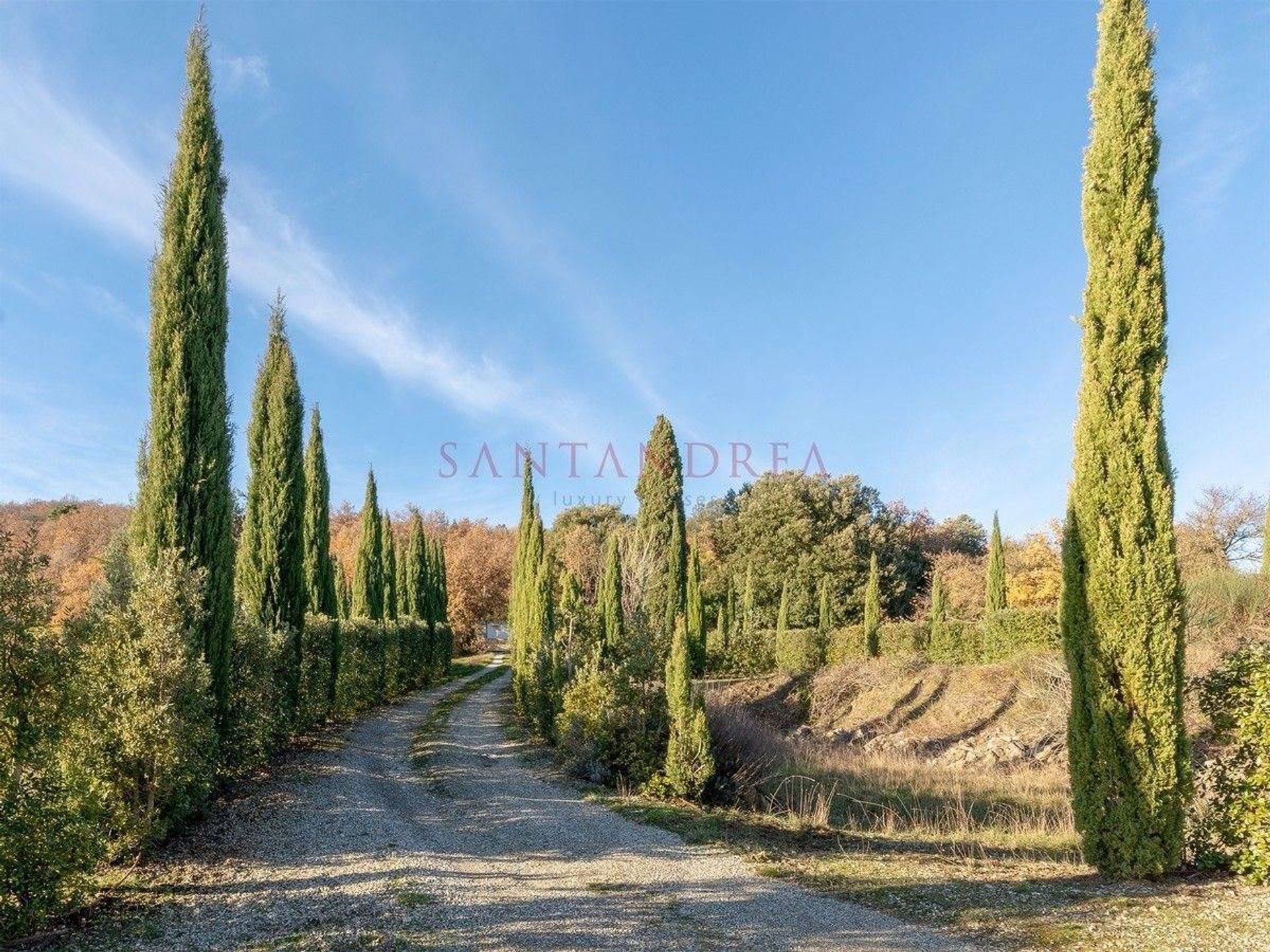 בַּיִת ב Castelnuovo Berardenga, Tuscany 10052063