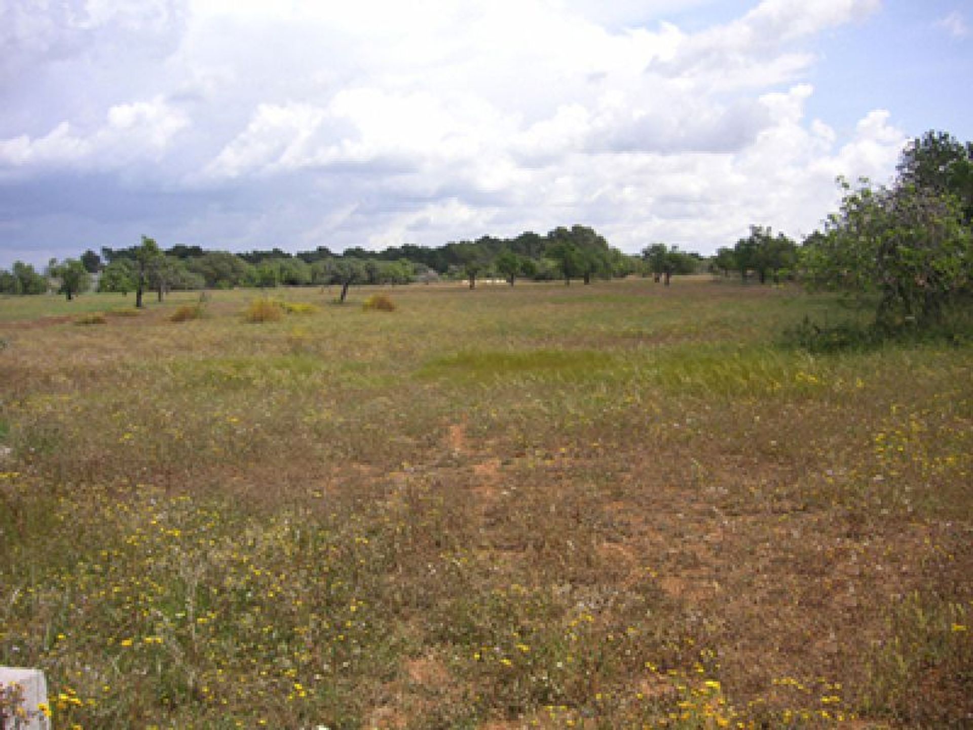 Tanah di telapak tangan, Pulau Balearic 10052211