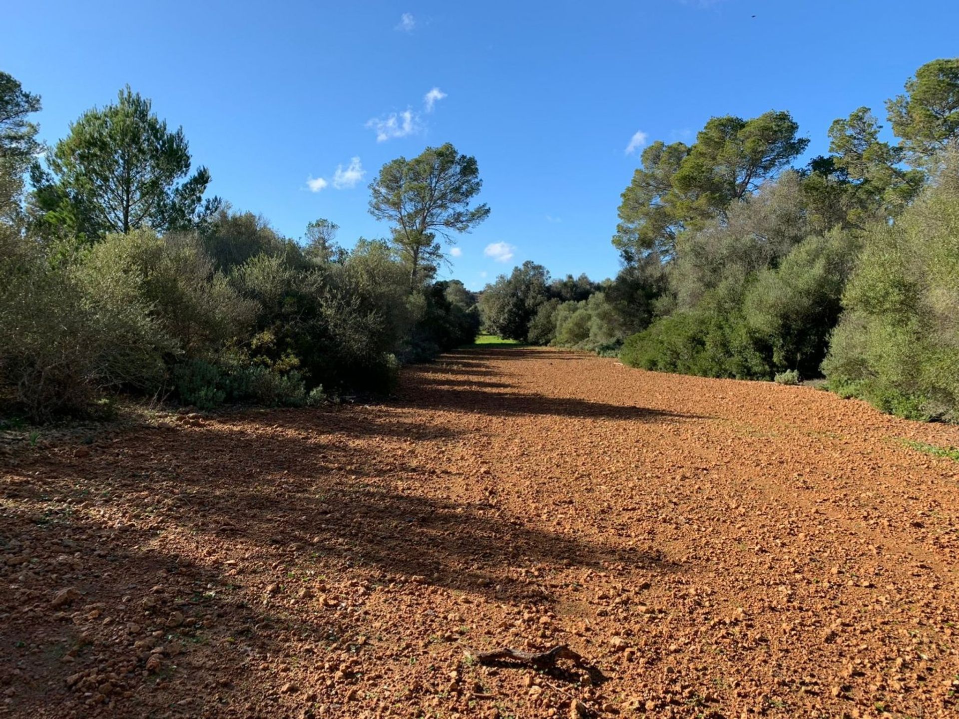 Eigentumswohnung im S´estanyol de Migjorn, Mallorca 10052239