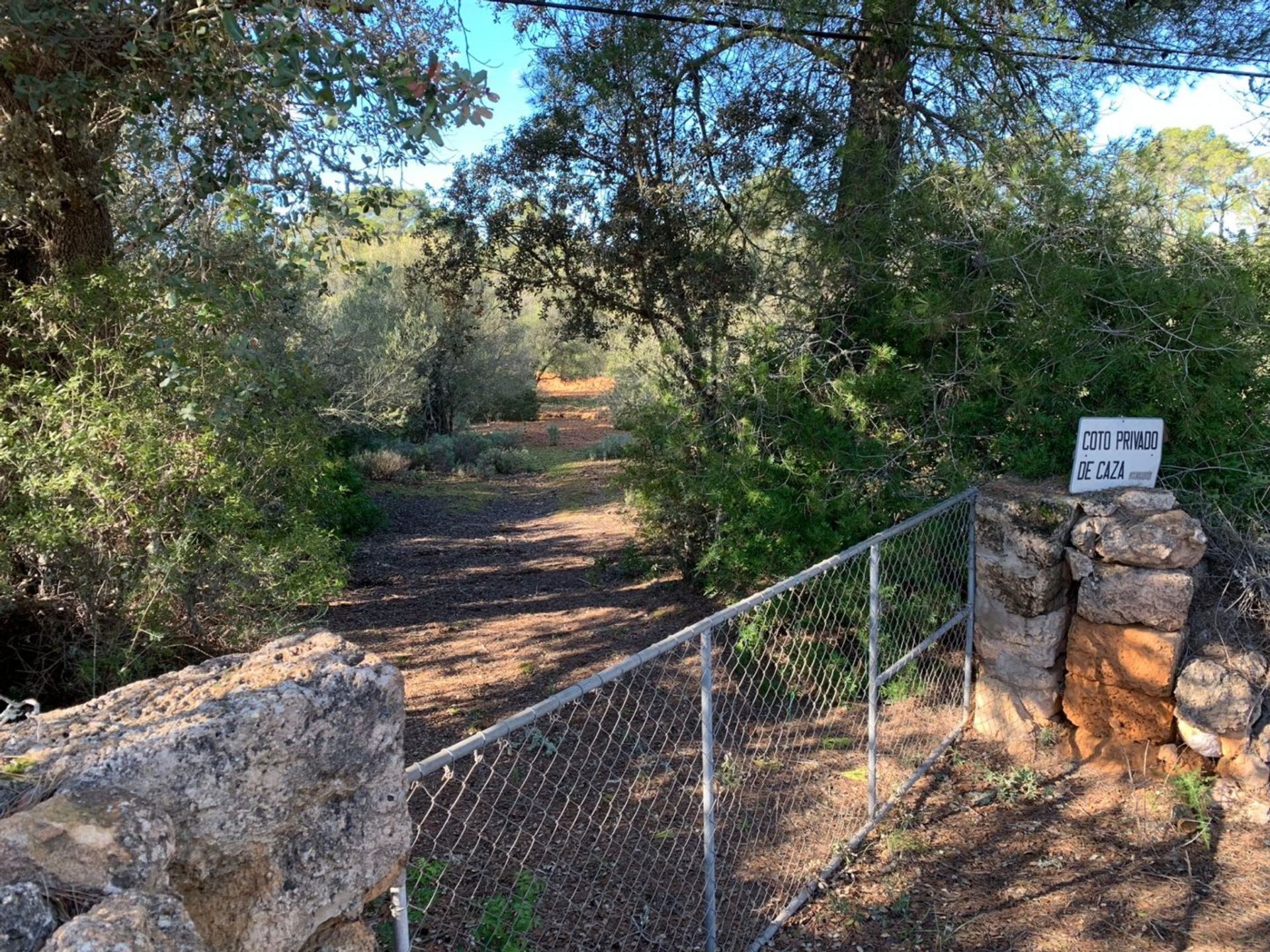 Borettslag i S´estanyol de Migjorn, Mallorca 10052239