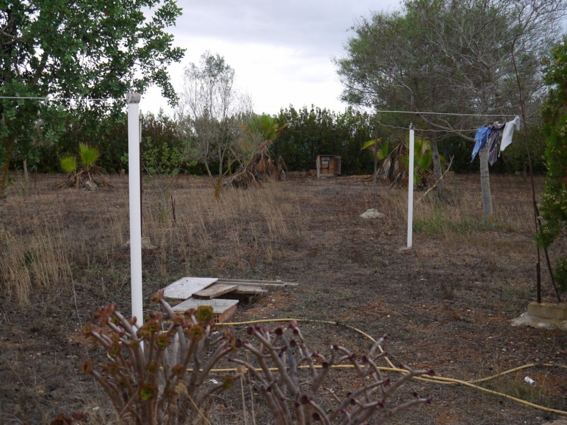 rumah dalam Llucmajor Rural, Mallorca 10052246