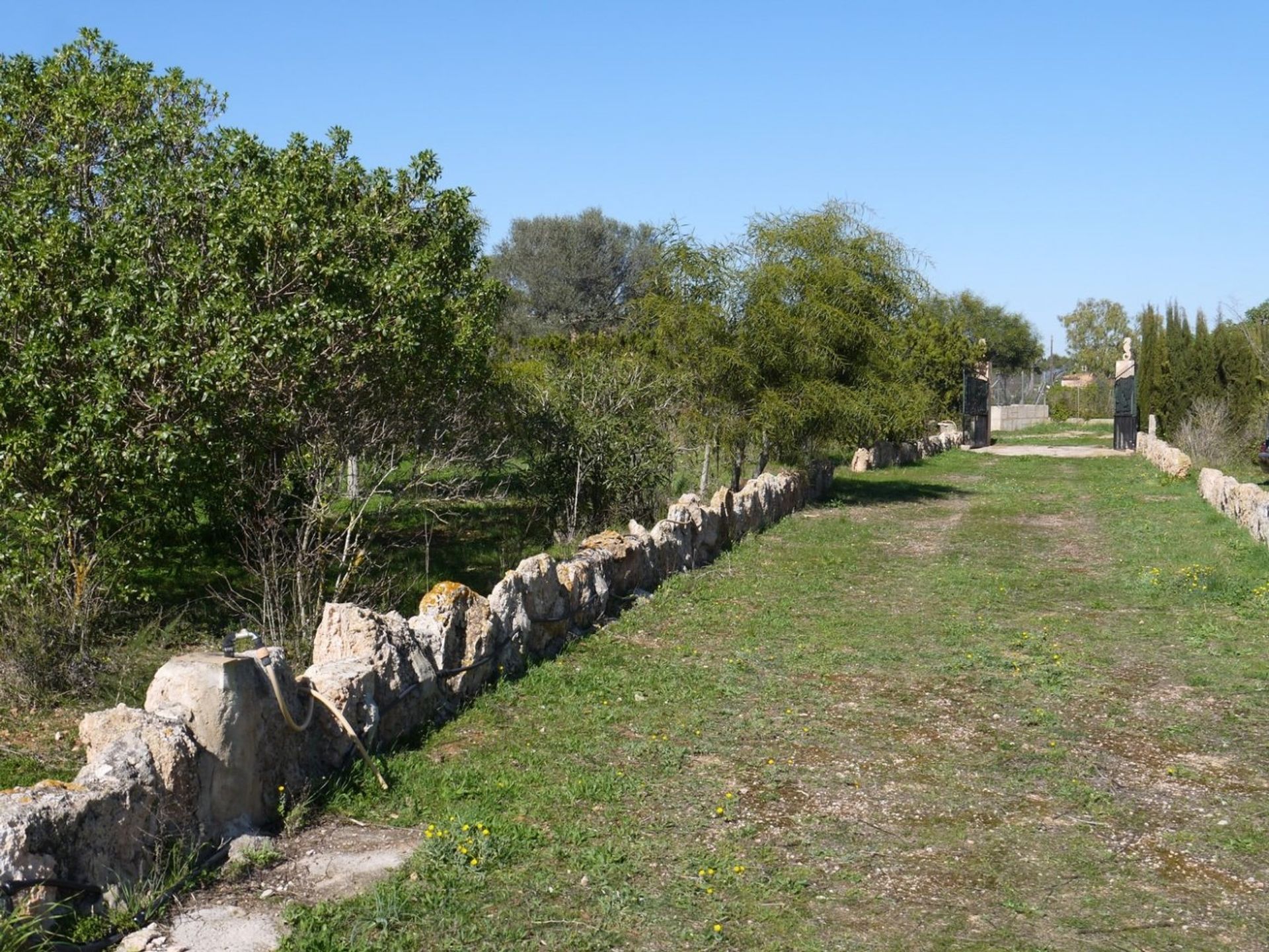 casa en Llucmajor Rural, Mallorca 10052246